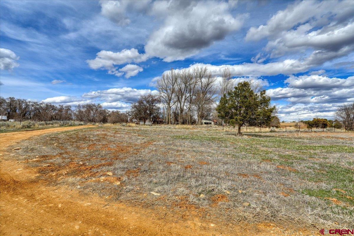 12 CR 103A Road, Red Mesa, CO 81326 Listing Photo  29