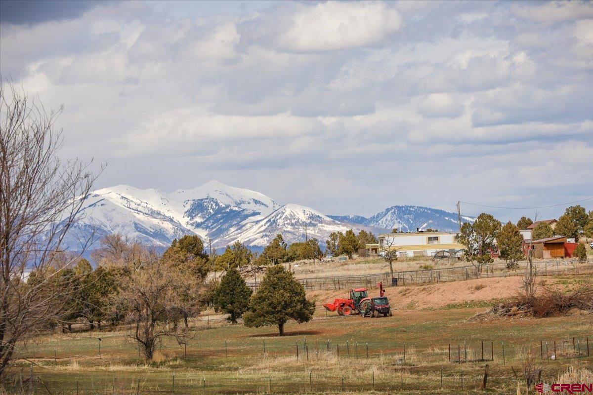 12 CR 103A Road, Red Mesa, CO 81326 Listing Photo  4