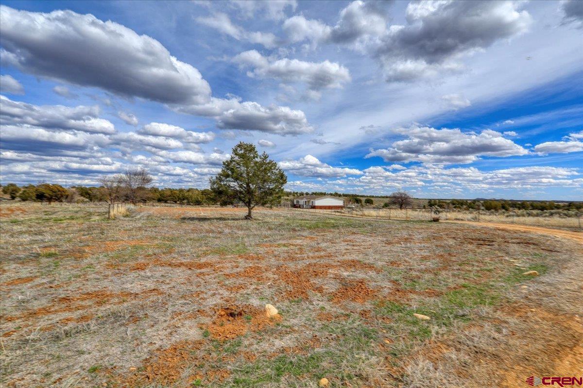 12 CR 103A Road, Red Mesa, CO 81326 Listing Photo  32