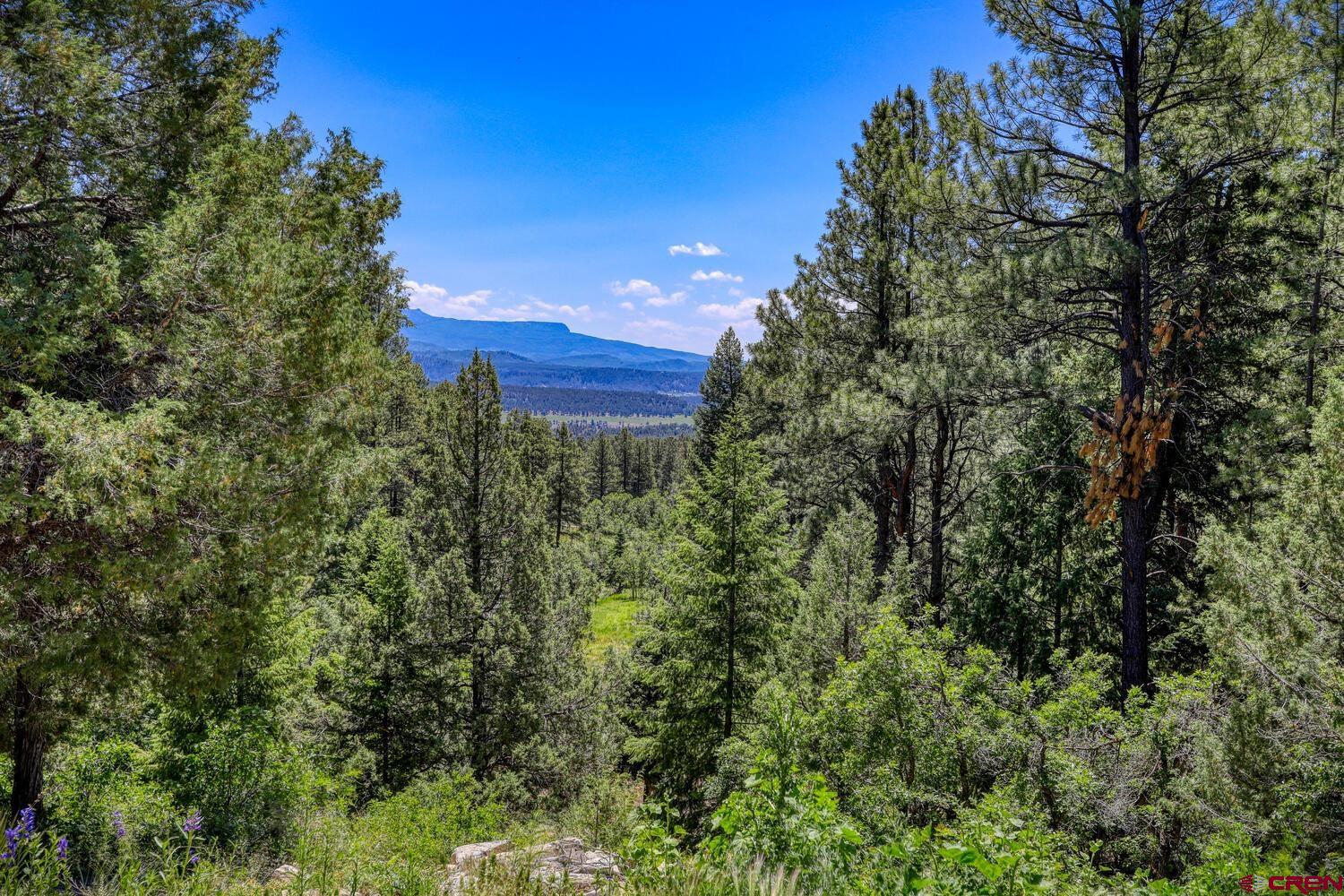 1266 Majestic Drive, Pagosa Springs, CO 81147 Listing Photo  34
