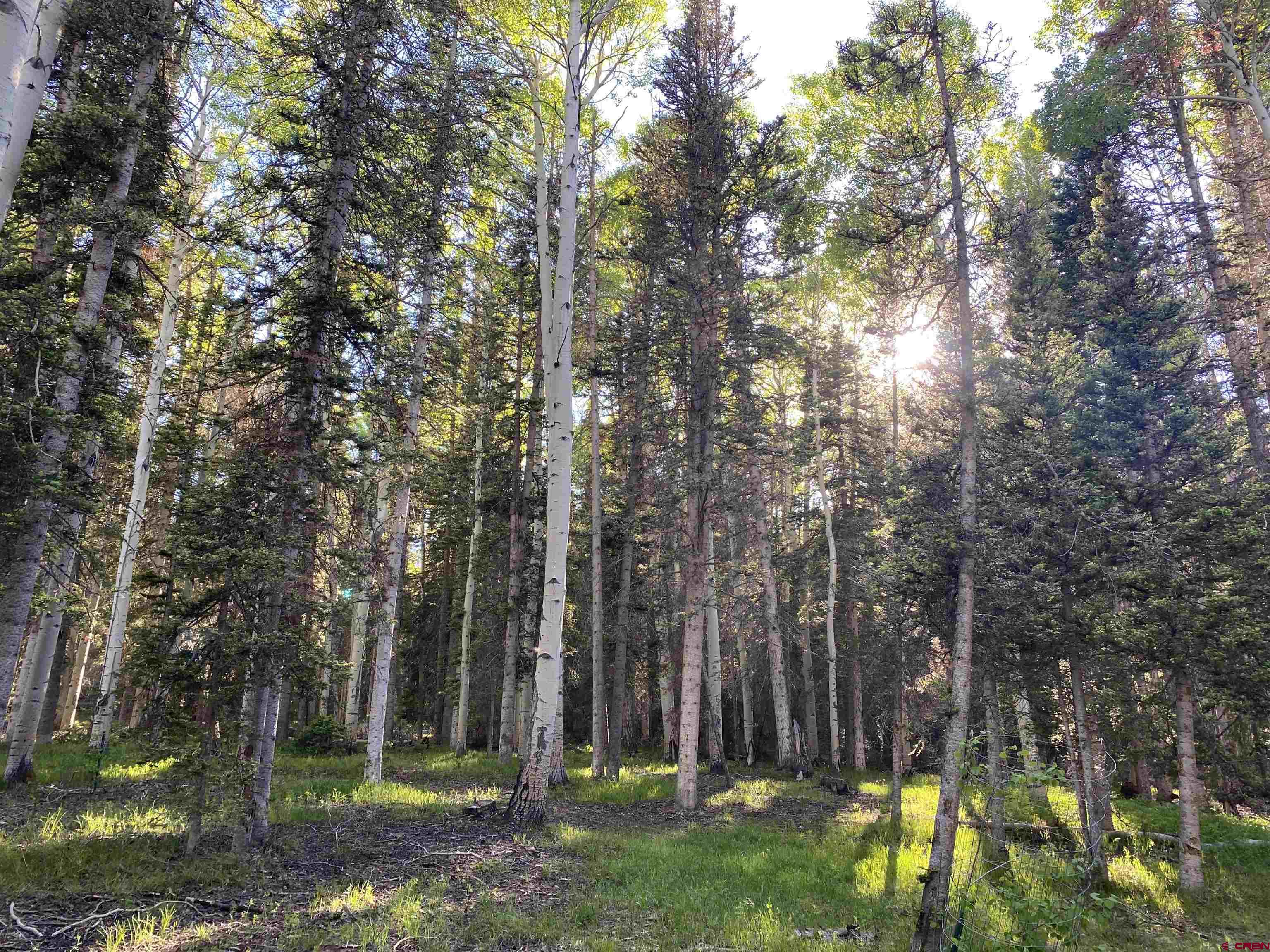 Lots & Land for sale in Cimarron, Colorado, 804919