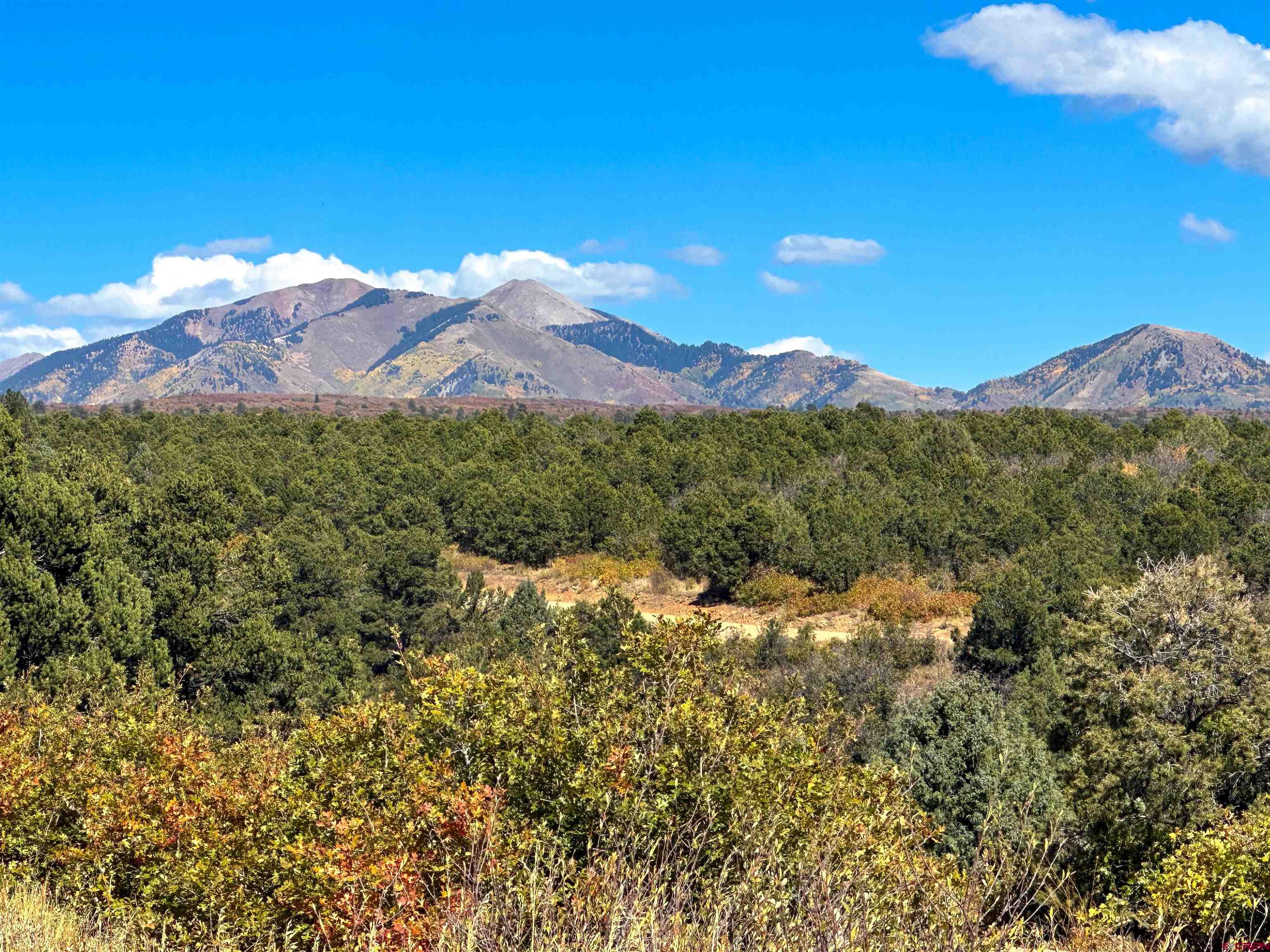Photo of Tbd De Oro Way Wy in Hesperus, CO