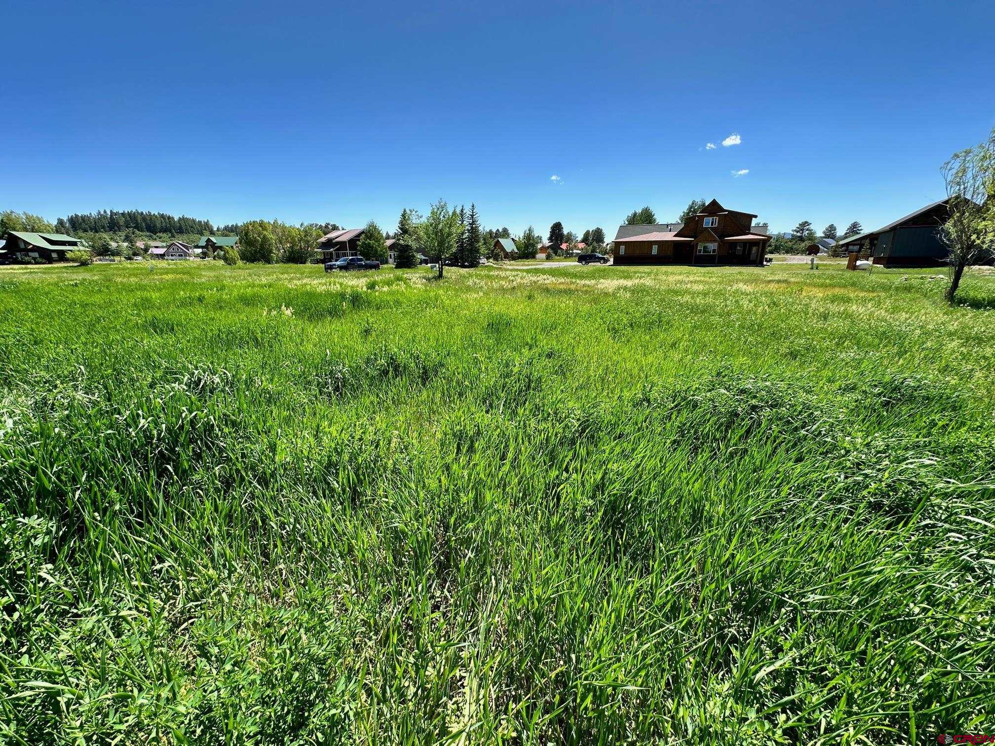 44 Point Place, Pagosa Springs, CO 81147 Listing Photo  4