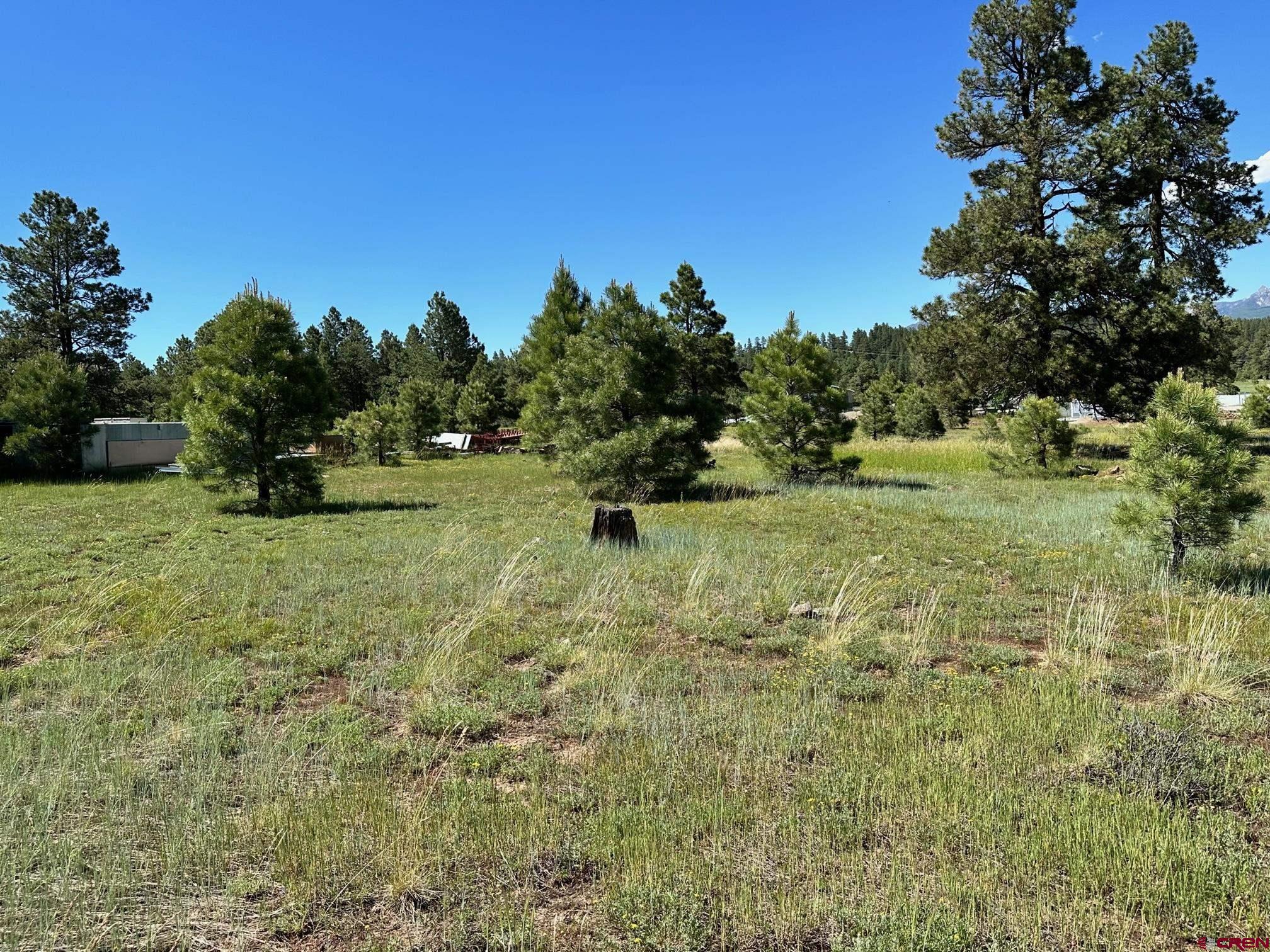 174 Industrial Circle, Pagosa Springs, CO 81147 Listing Photo  2