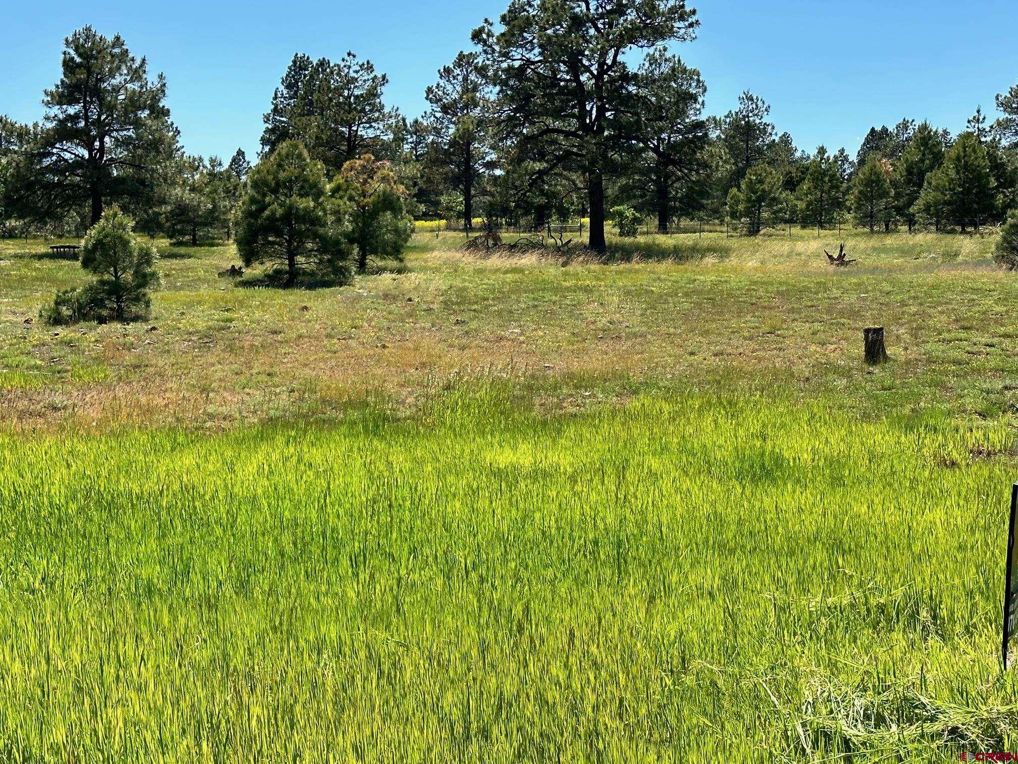 174 Industrial Circle, Pagosa Springs, CO 81147 Listing Photo  12