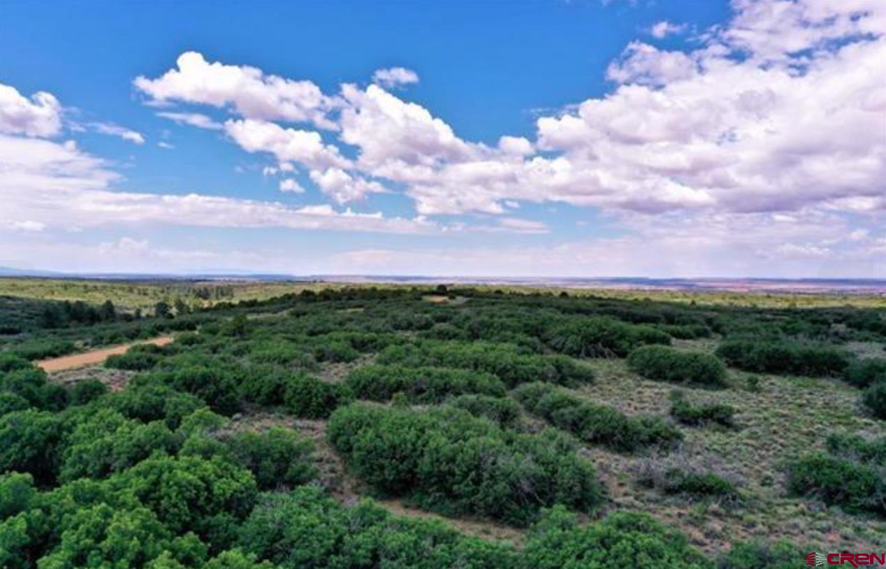 Photo of Tbd Rd C in Dove Creek, CO