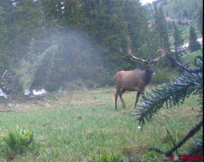 Photo of Tbd County Rd 8 in Silverton, CO