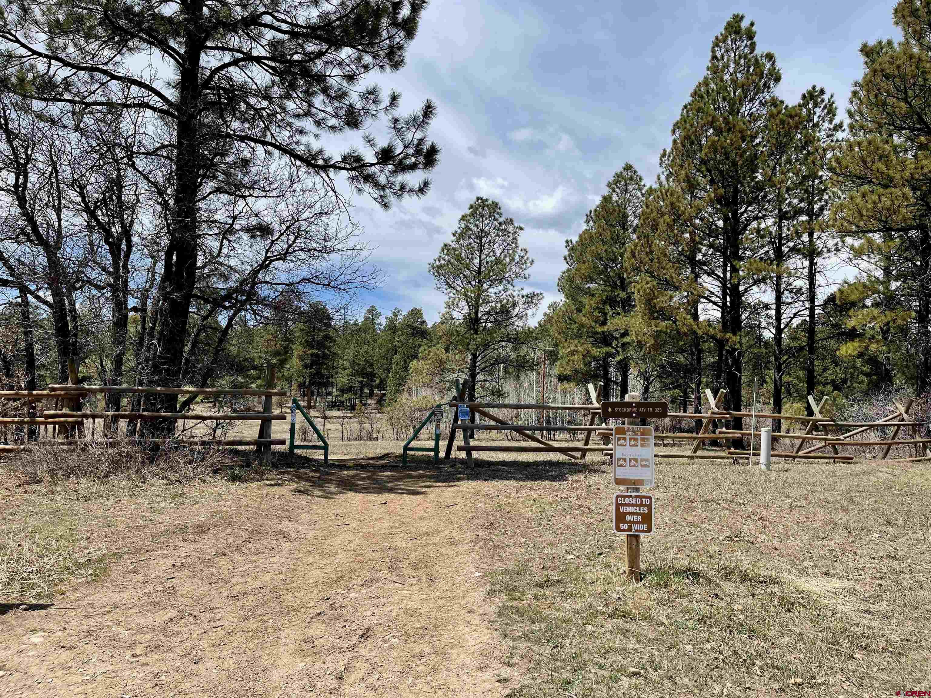 133 Chase Court, Pagosa Springs, CO 81147 Listing Photo  21