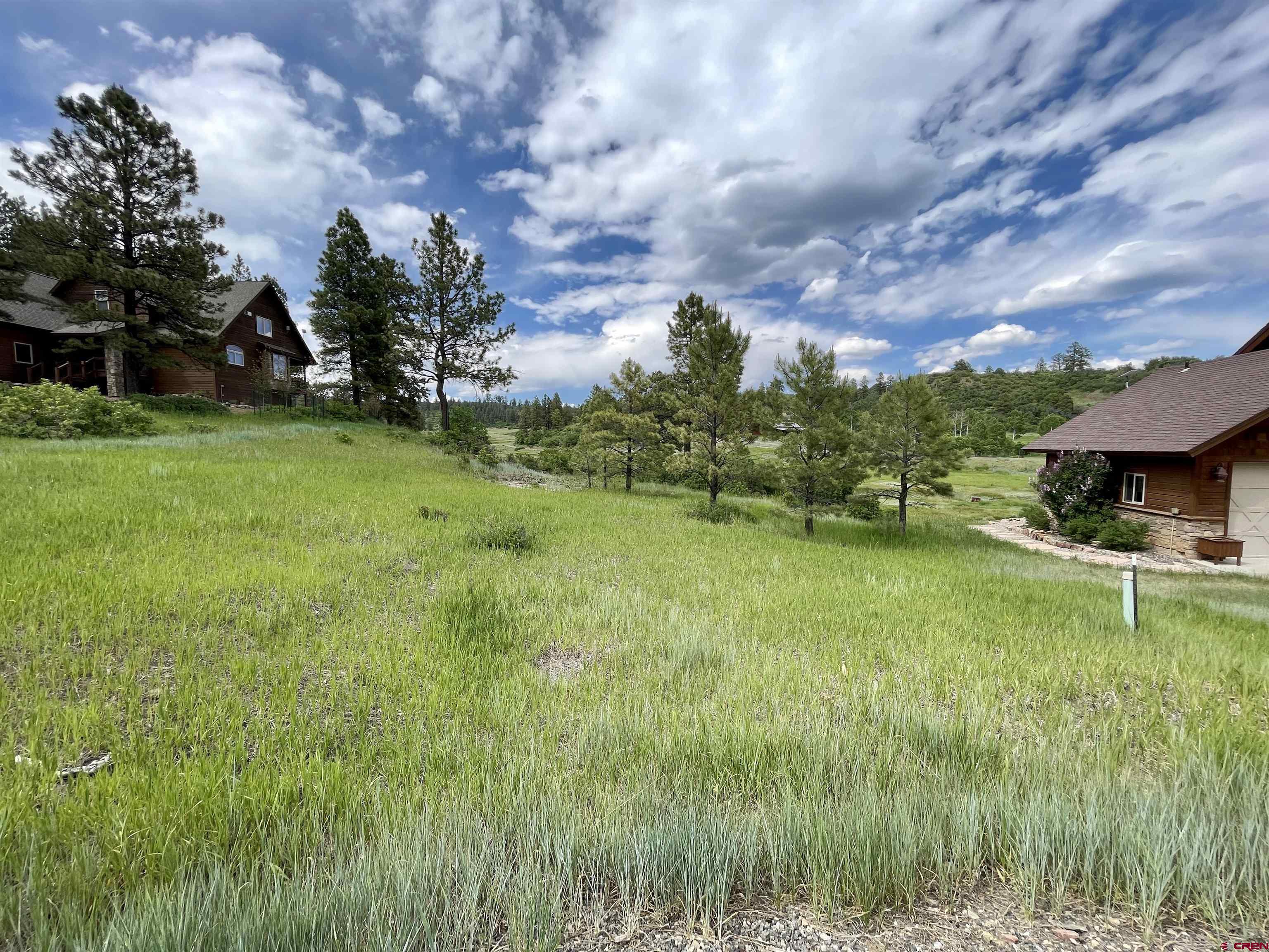 133 Chase Court, Pagosa Springs, CO 81147 Listing Photo  7