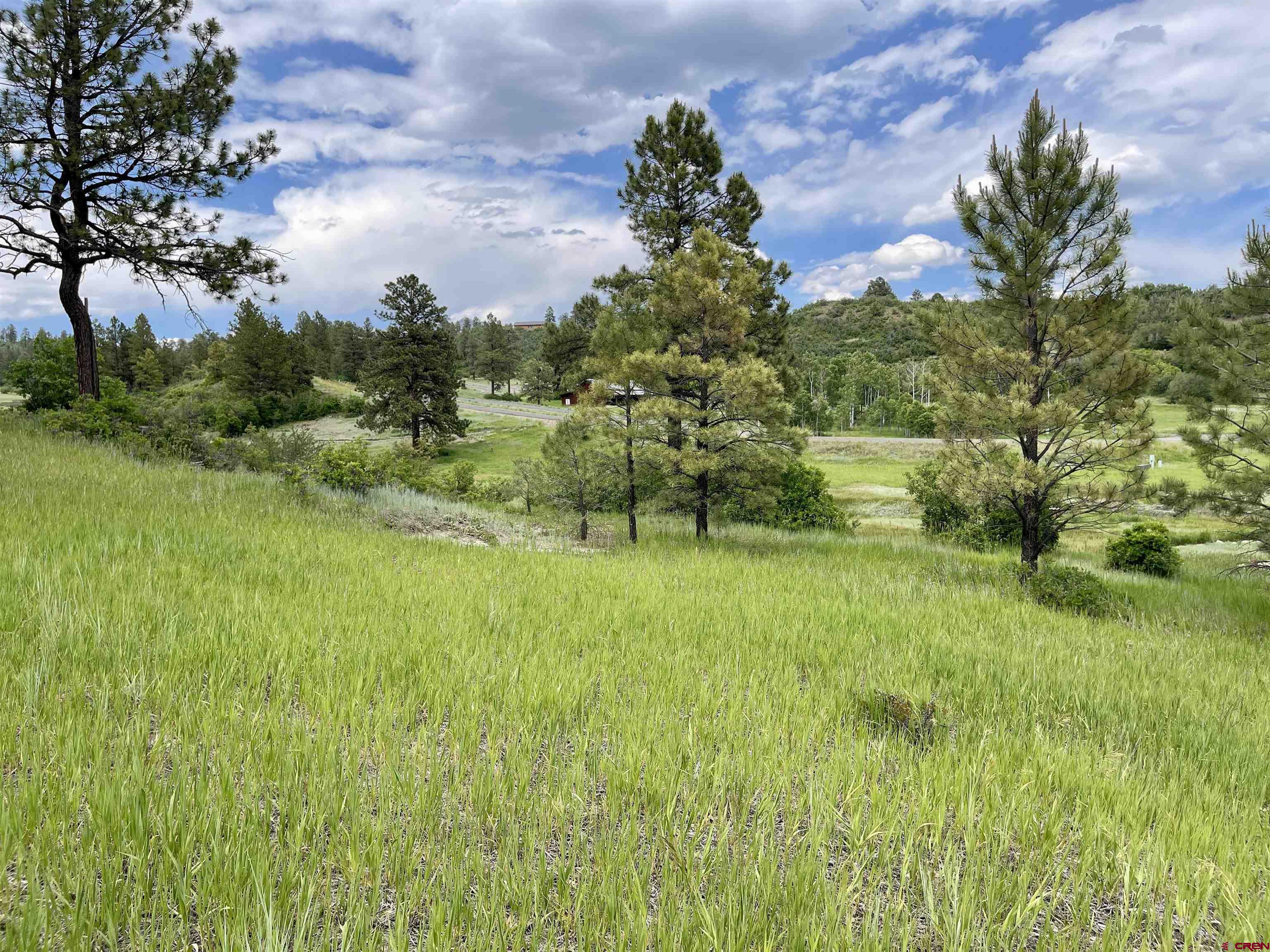133 Chase Court, Pagosa Springs, CO 81147 Listing Photo  8
