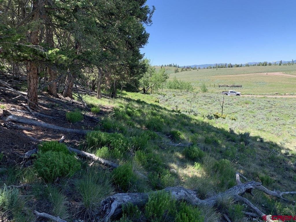 166 Blue Mesa Drive Powderhorn CO 81243 Active