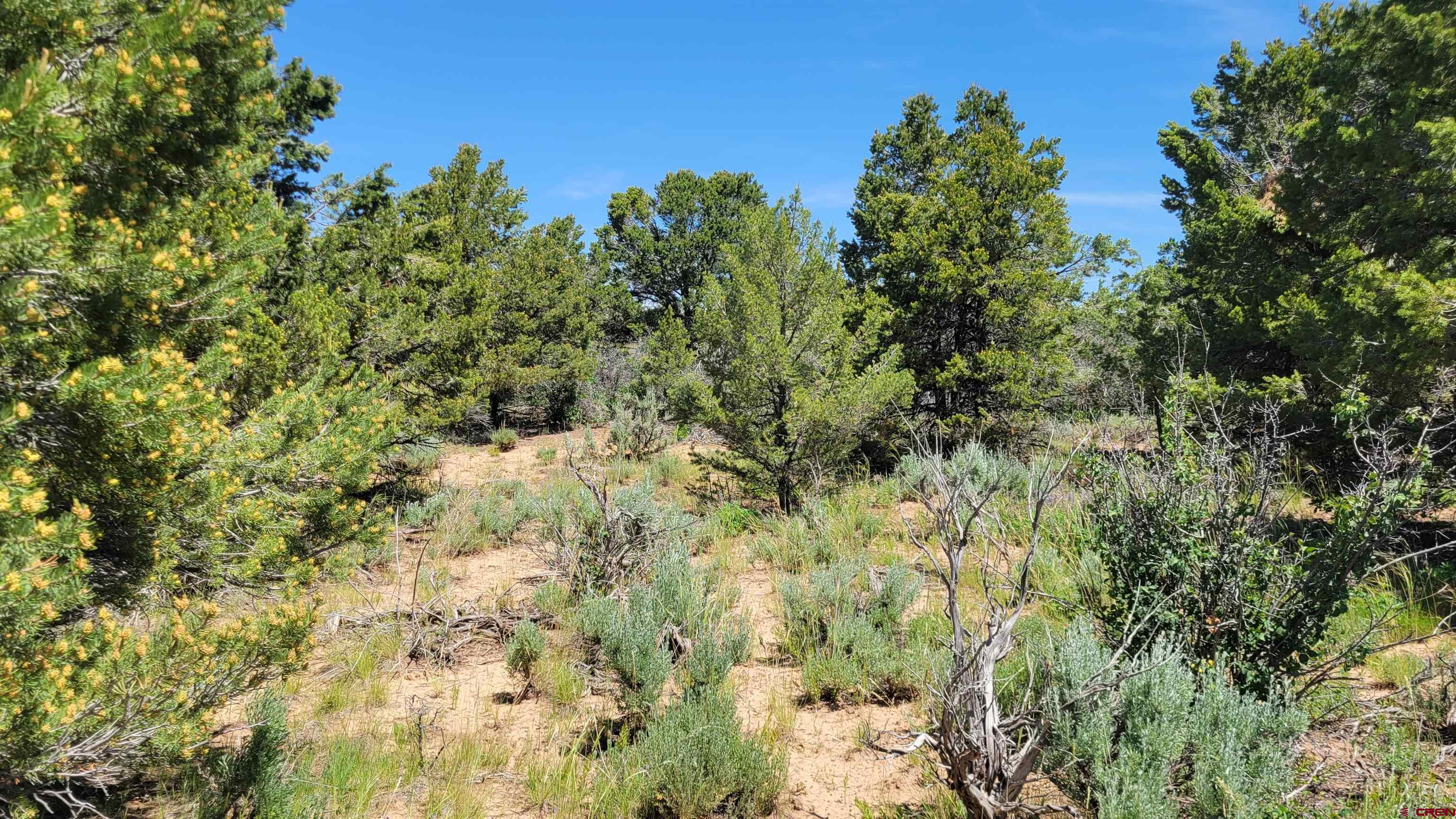 Photo of Tbd Rd W in Dolores, CO