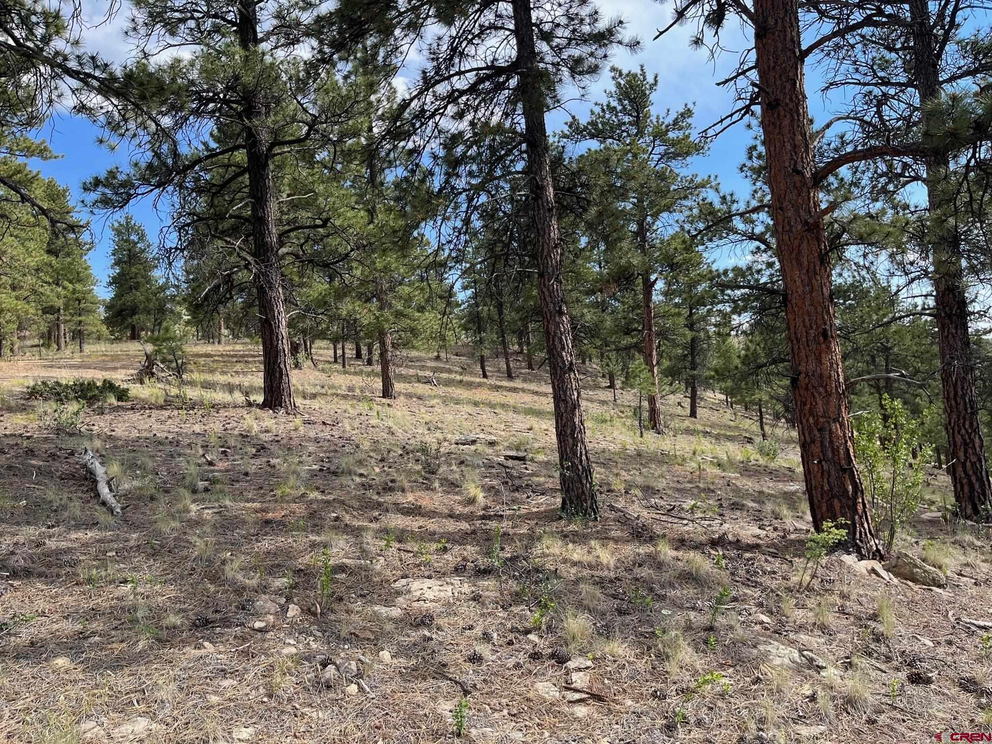 Photo of 538 Church Creek Dr in South Fork, CO