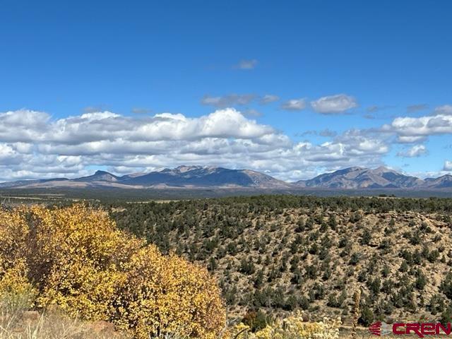 Photo of 4349 Cr 105 in Hesperus, CO