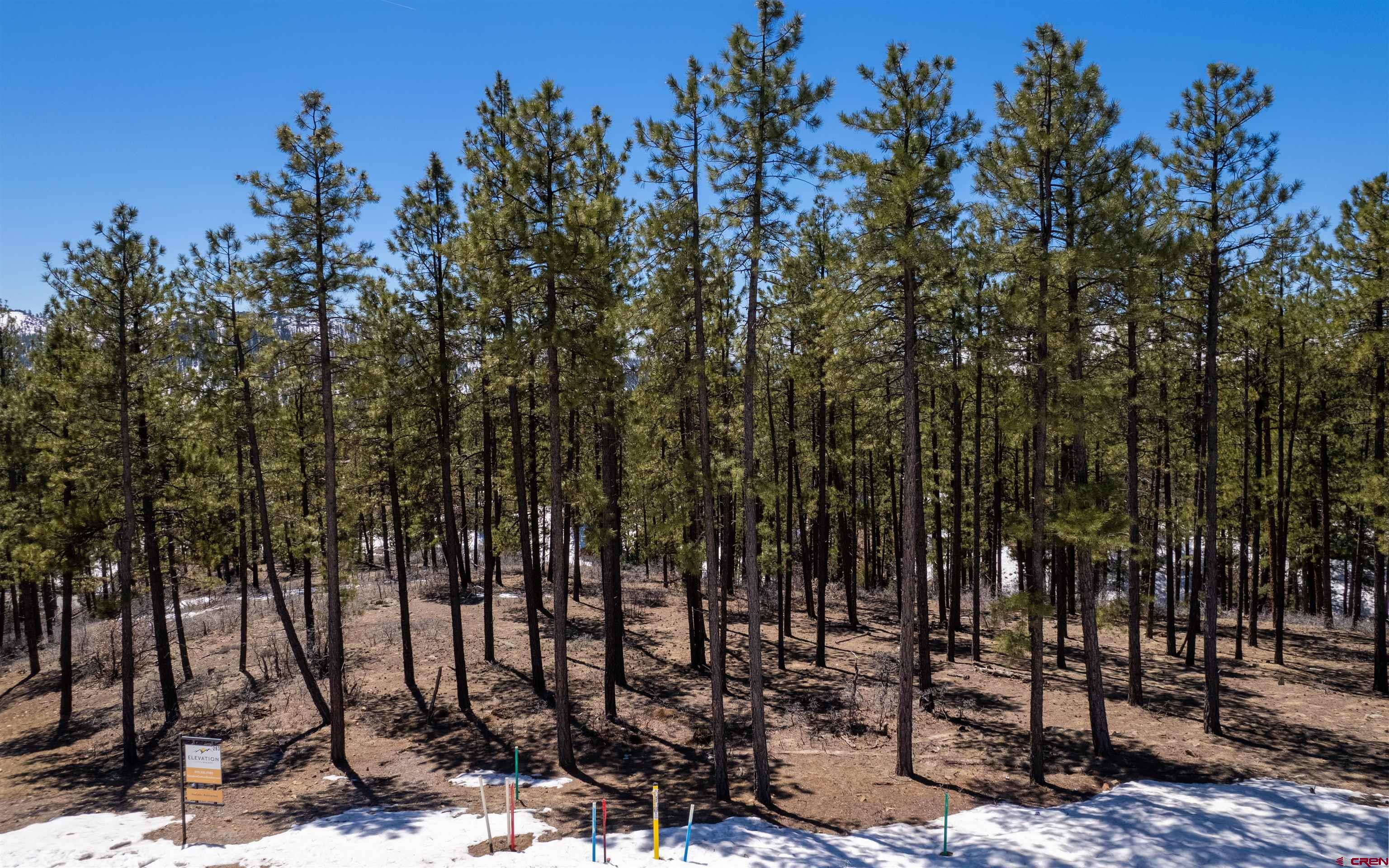 Photo of 1051 Red Canyon Trl in Durango, CO