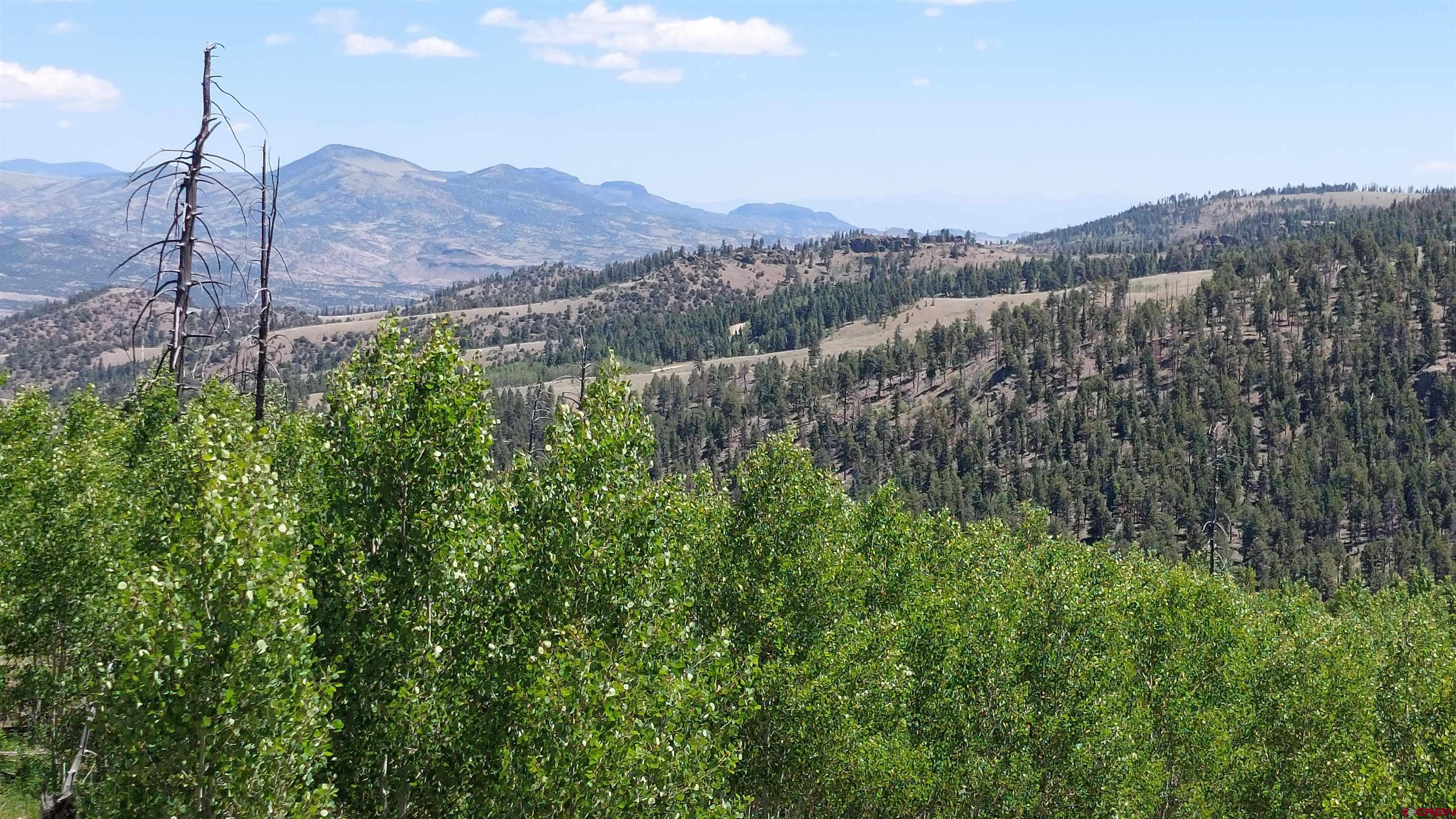 Photo of 655 Elk Ct in South Fork, CO