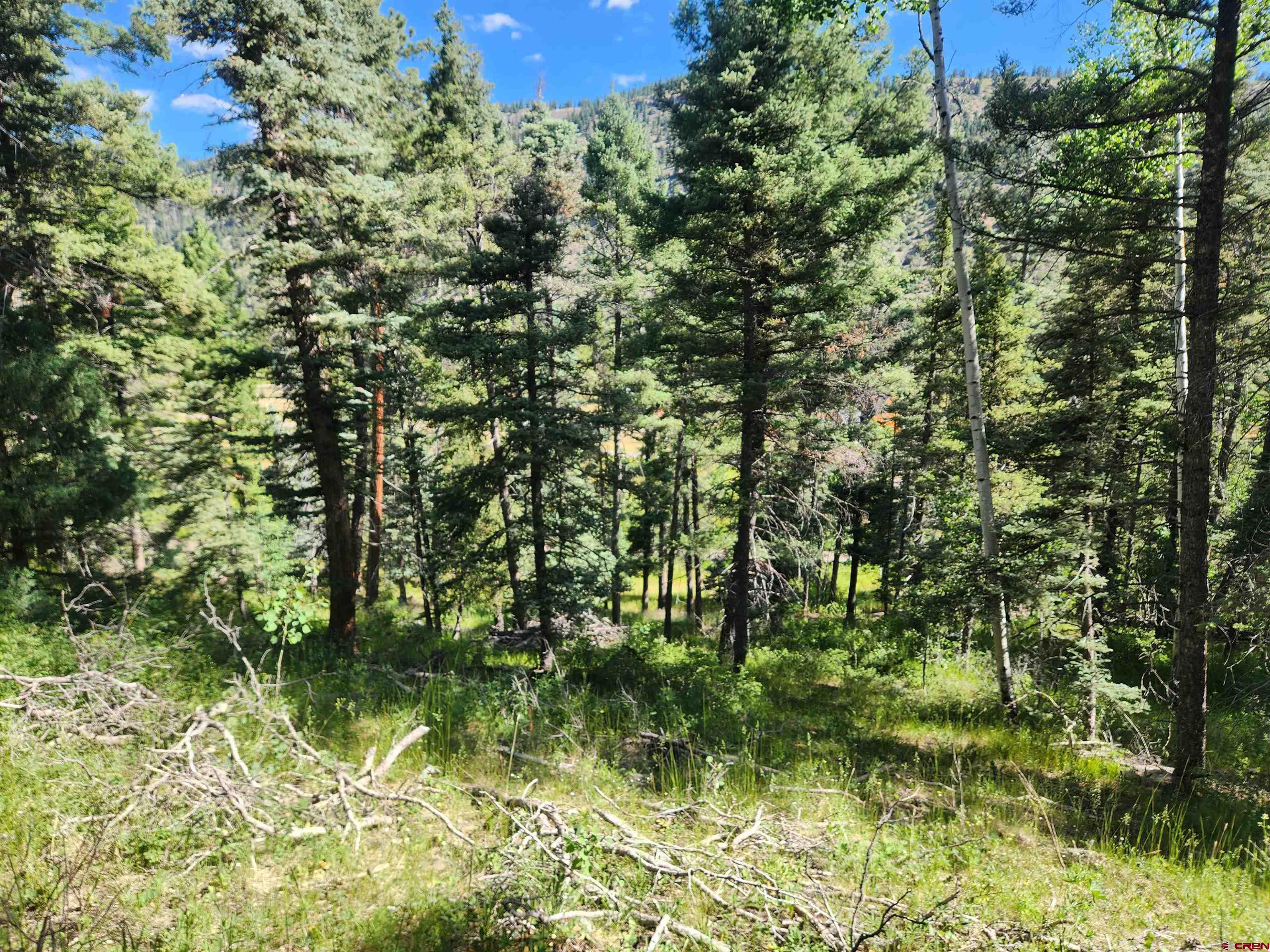 1805 Clarke Mountain Lane Antonito CO 81120 Active