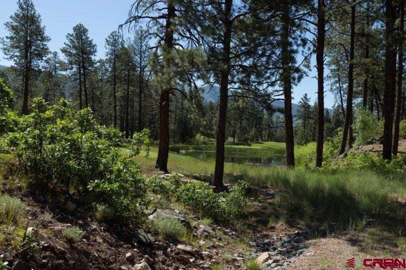 31 Old Stagecoach Pass, Durango, CO 81301 Listing Photo  14