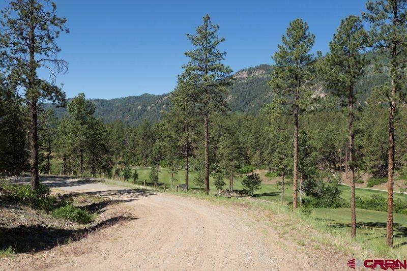 31 Old Stagecoach Pass, Durango, CO 81301 Listing Photo  16