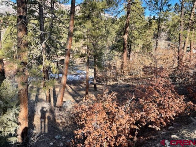 31 Old Stagecoach Pass, Durango, CO 81301 Listing Photo  3