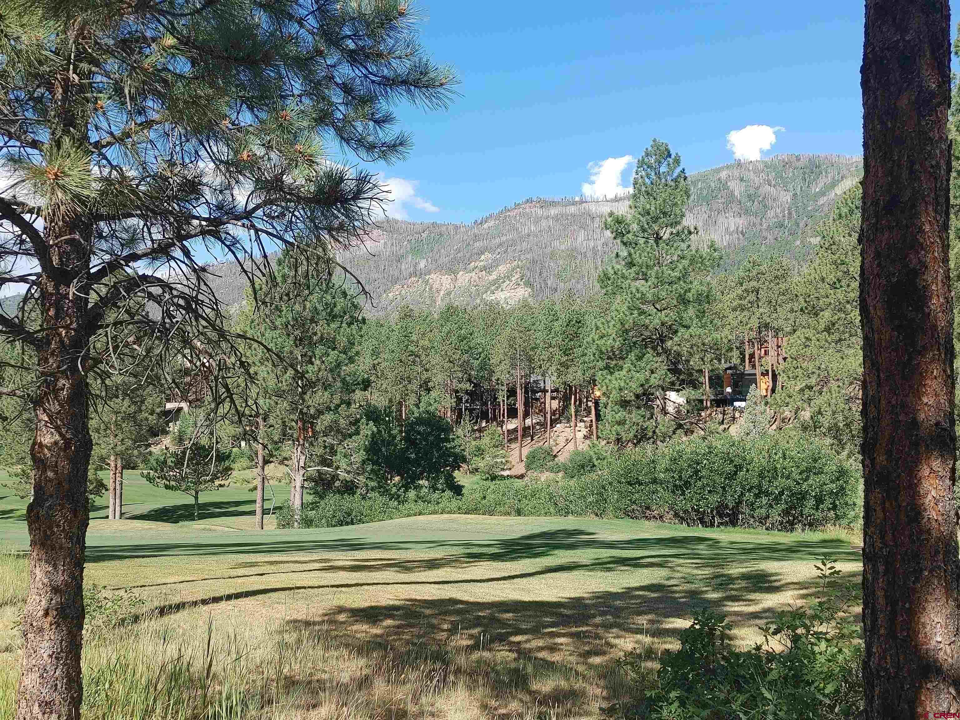 31 Old Stagecoach Pass, Durango, CO 81301 Listing Photo  5