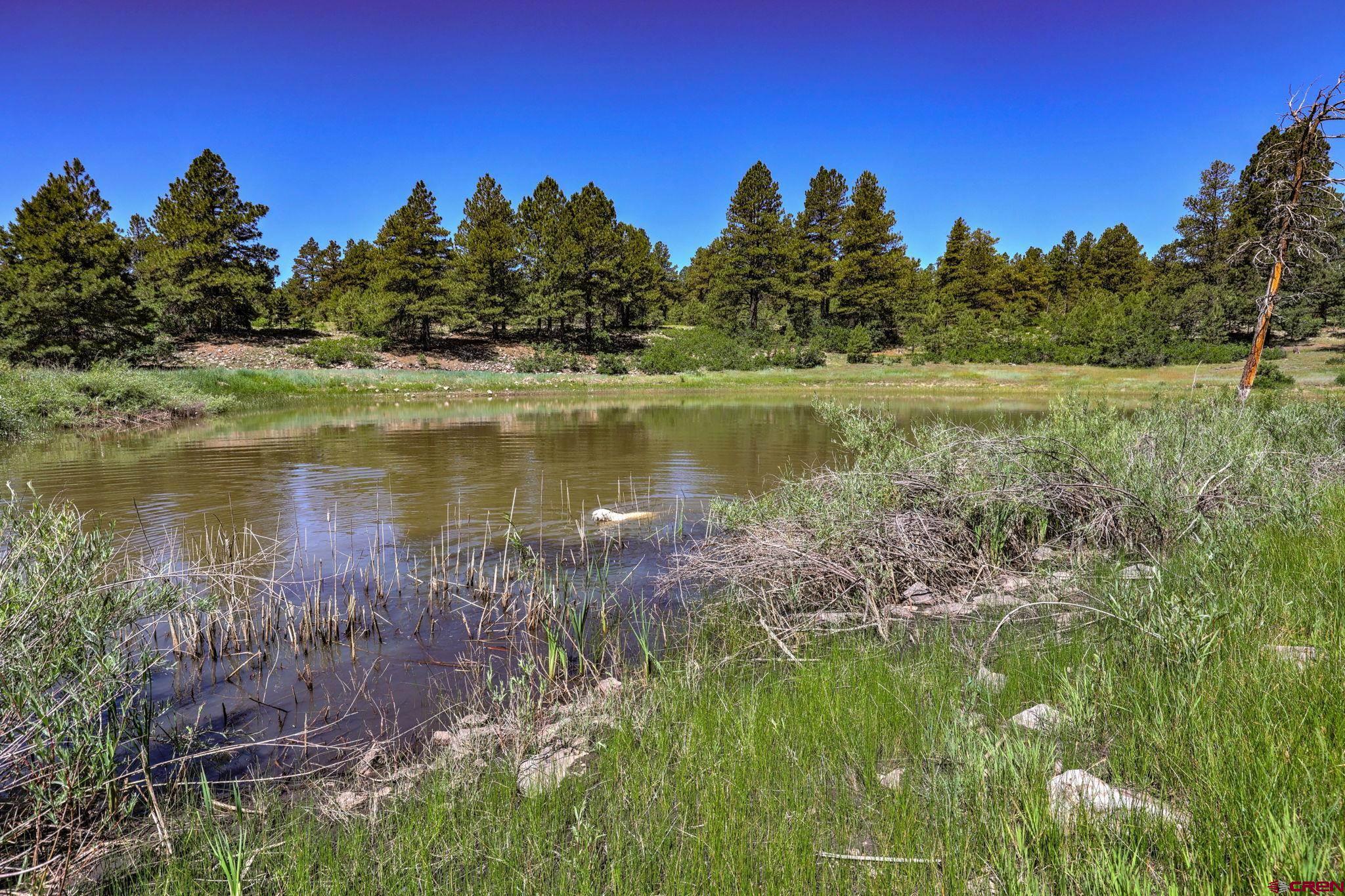 700A Honeybee Place, Pagosa Springs, CO 81147 Listing Photo  28