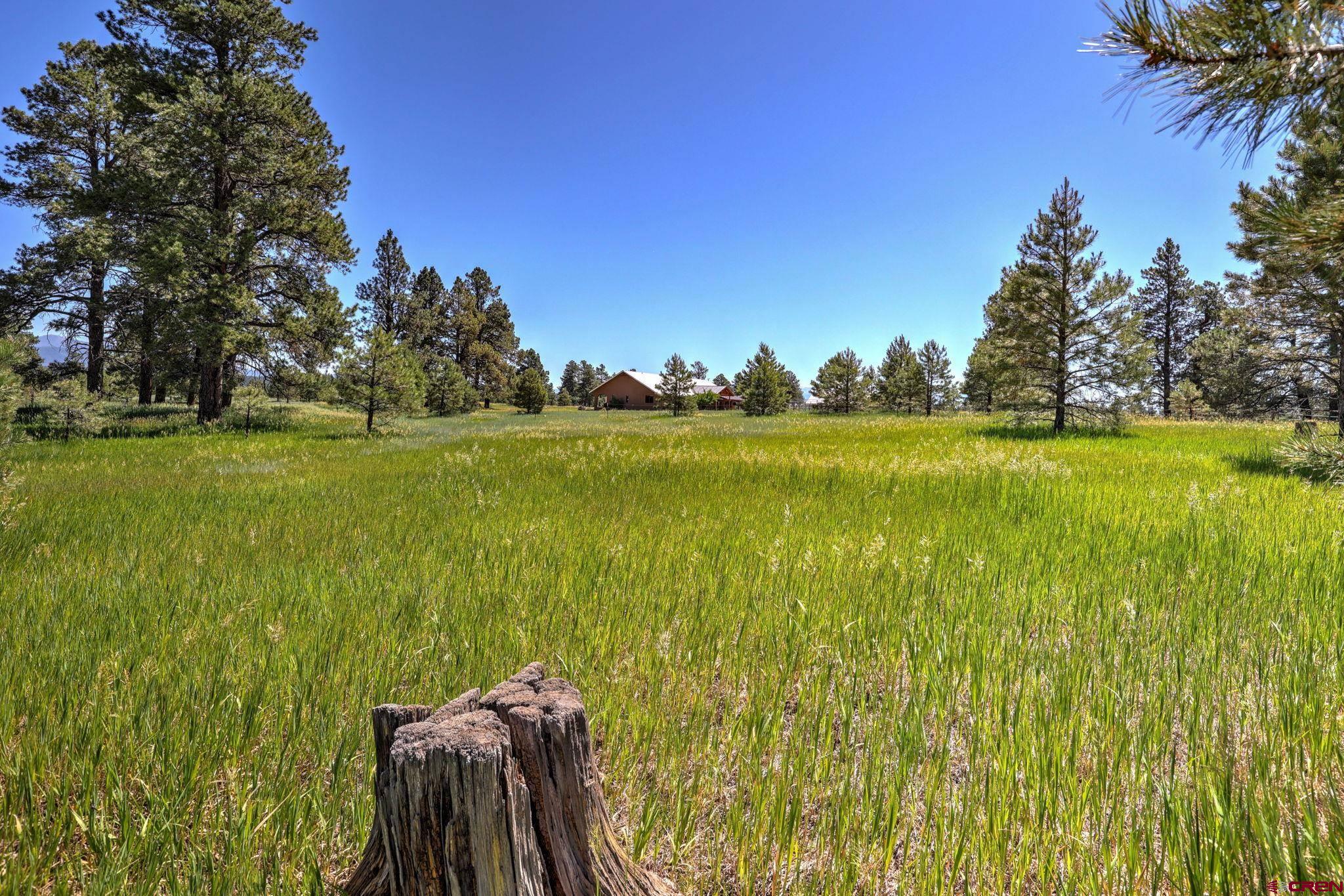 700A Honeybee Place, Pagosa Springs, CO 81147 Listing Photo  29
