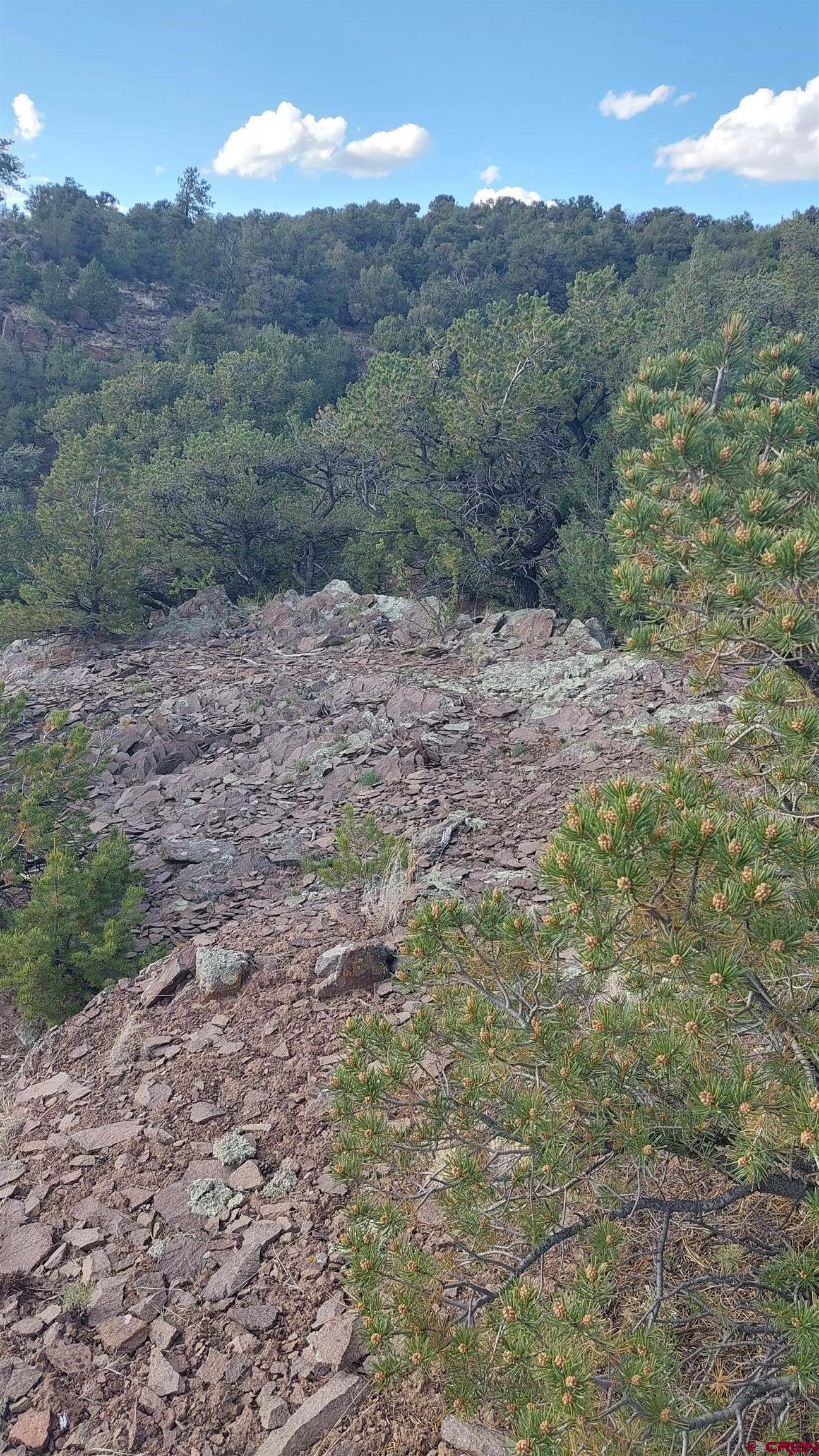Photo of 93 Cactus Rd in South Fork, CO