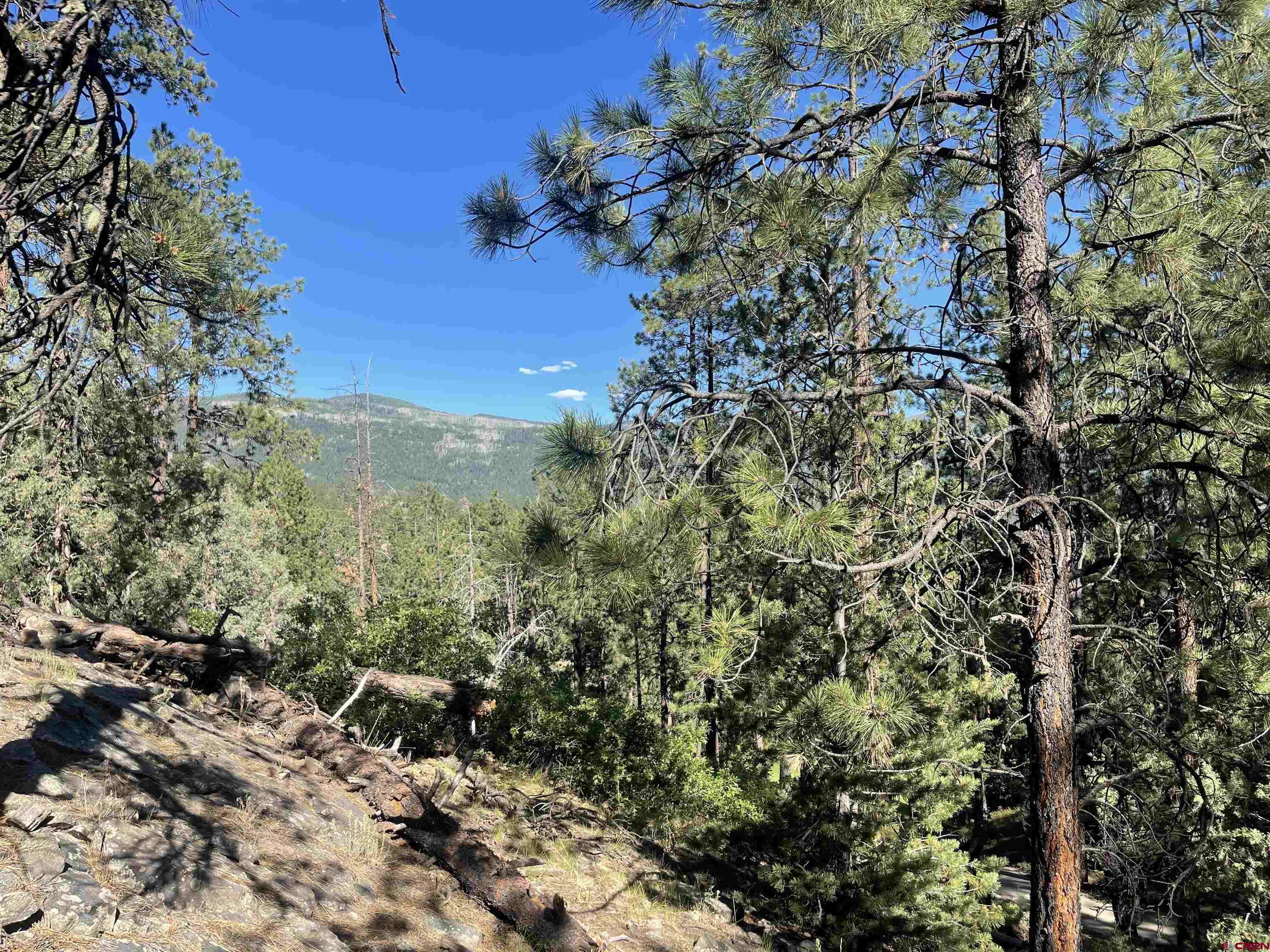 Photo of 91 Ambush Cyn in Durango, CO