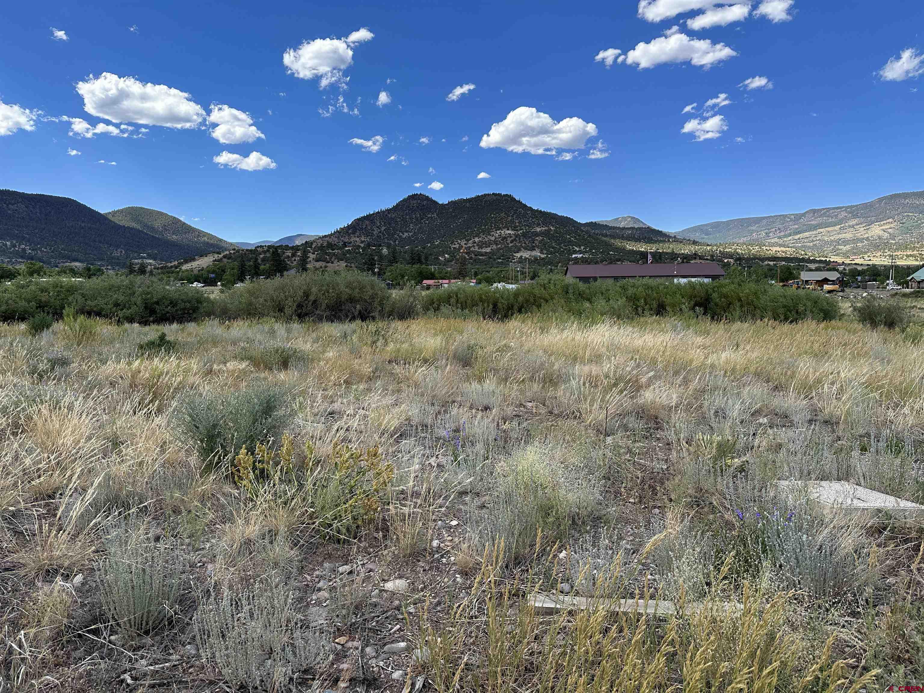 371 Sawmill Street, South Fork, CO 81154 Listing Photo  5