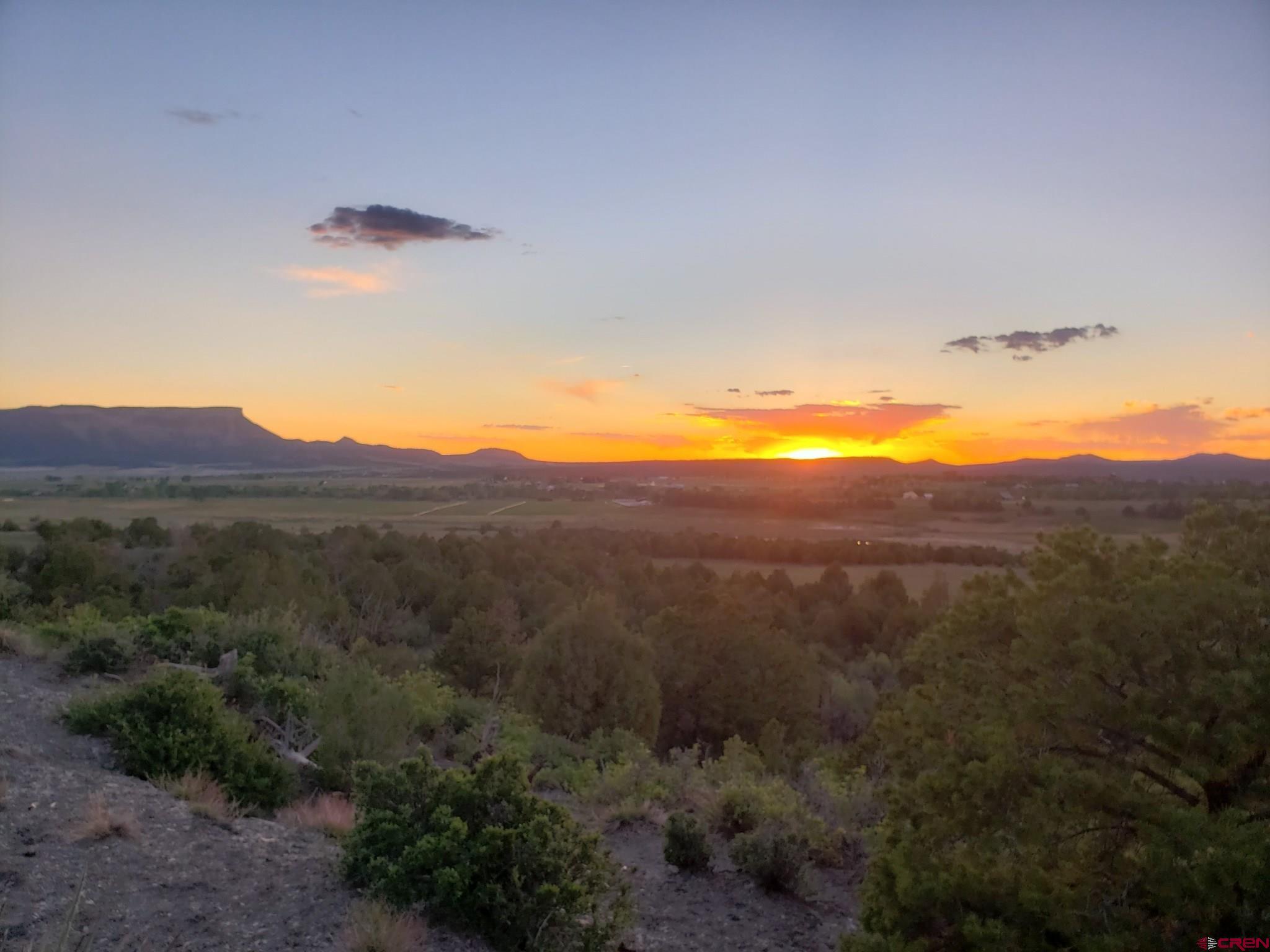 Photo of 7674 Rd 403 in Mancos, CO