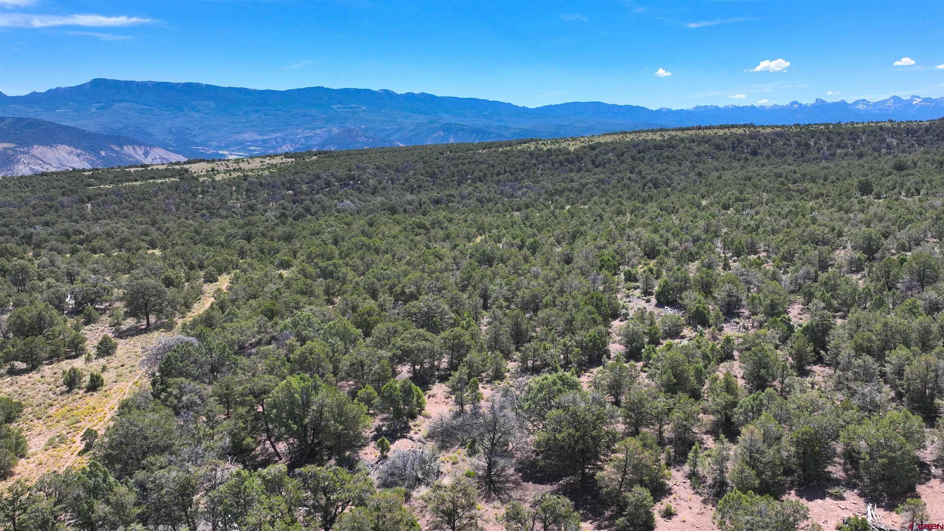 Photo of 80 Acres Pinion Rdg in Montrose, CO