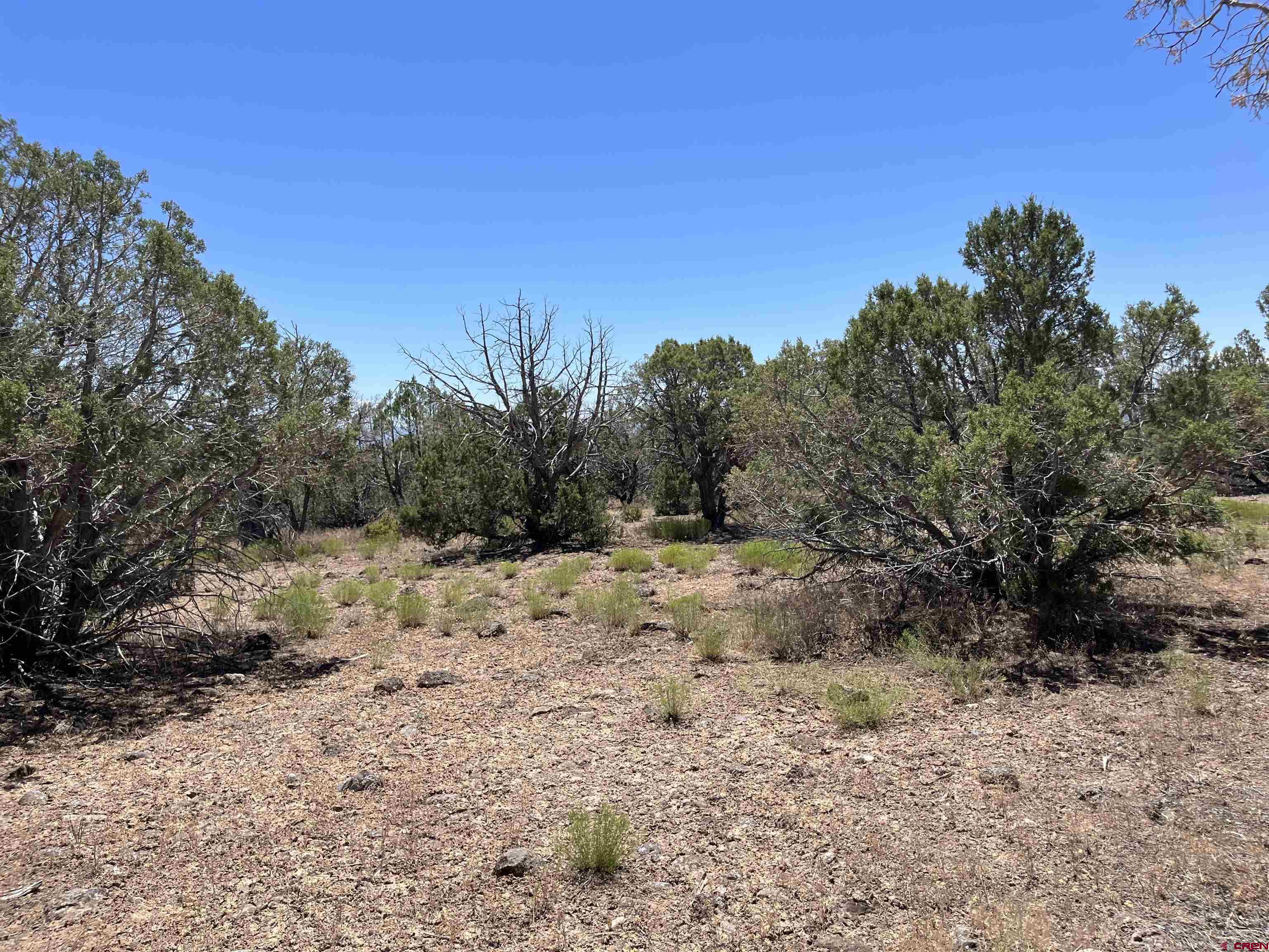 TBD Alon Road Hotchkiss 81419