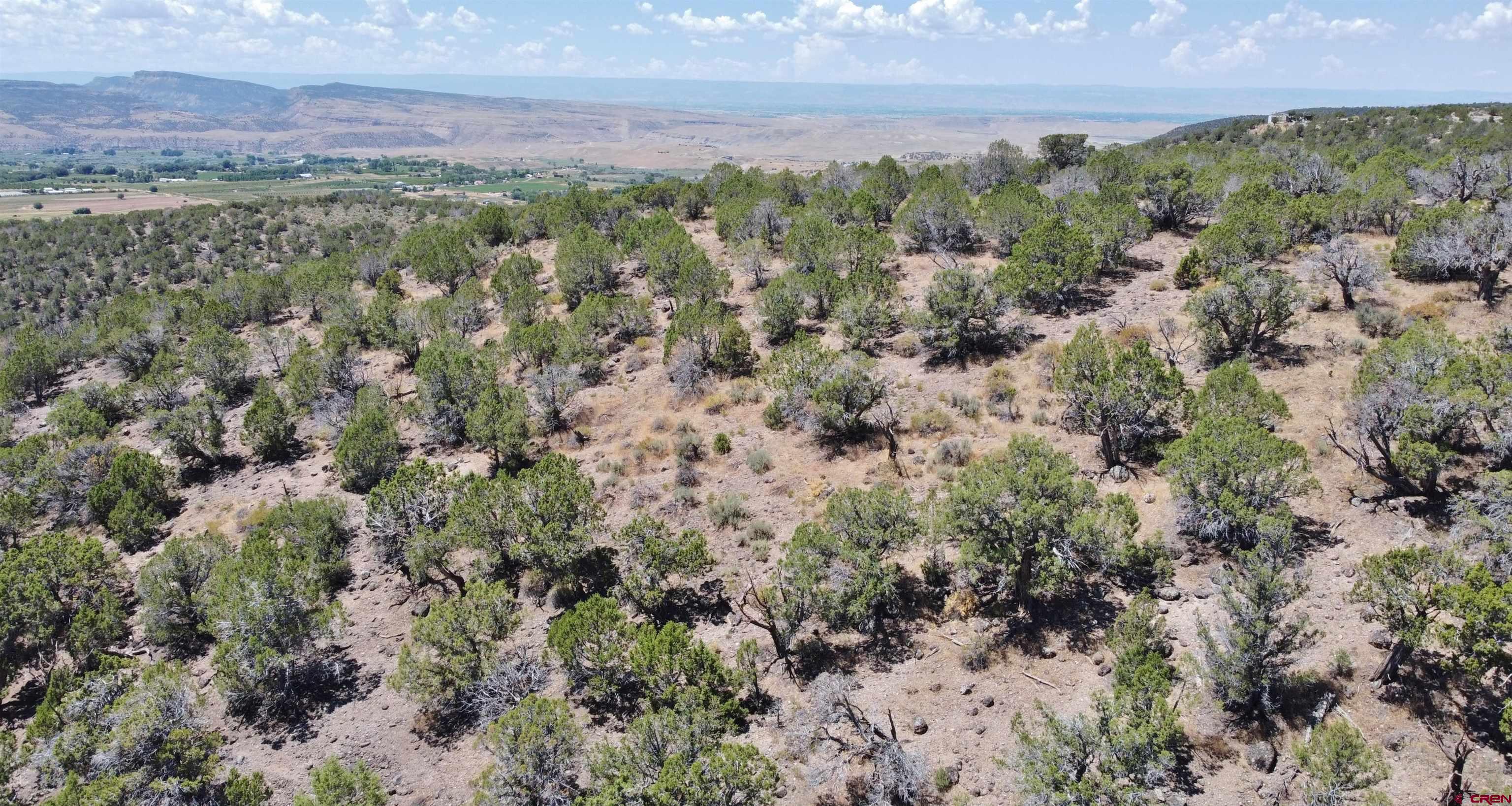 TBD Alon Road Hotchkiss 81419