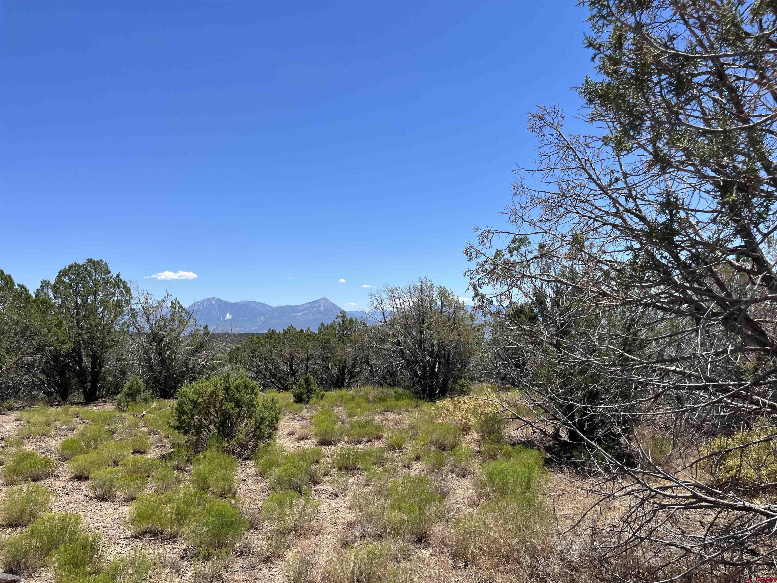 TBD Alon Road Hotchkiss 81419