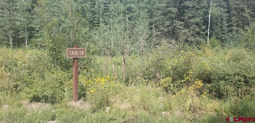 Photo of 114 Meadowbrook Prk in Creede, CO