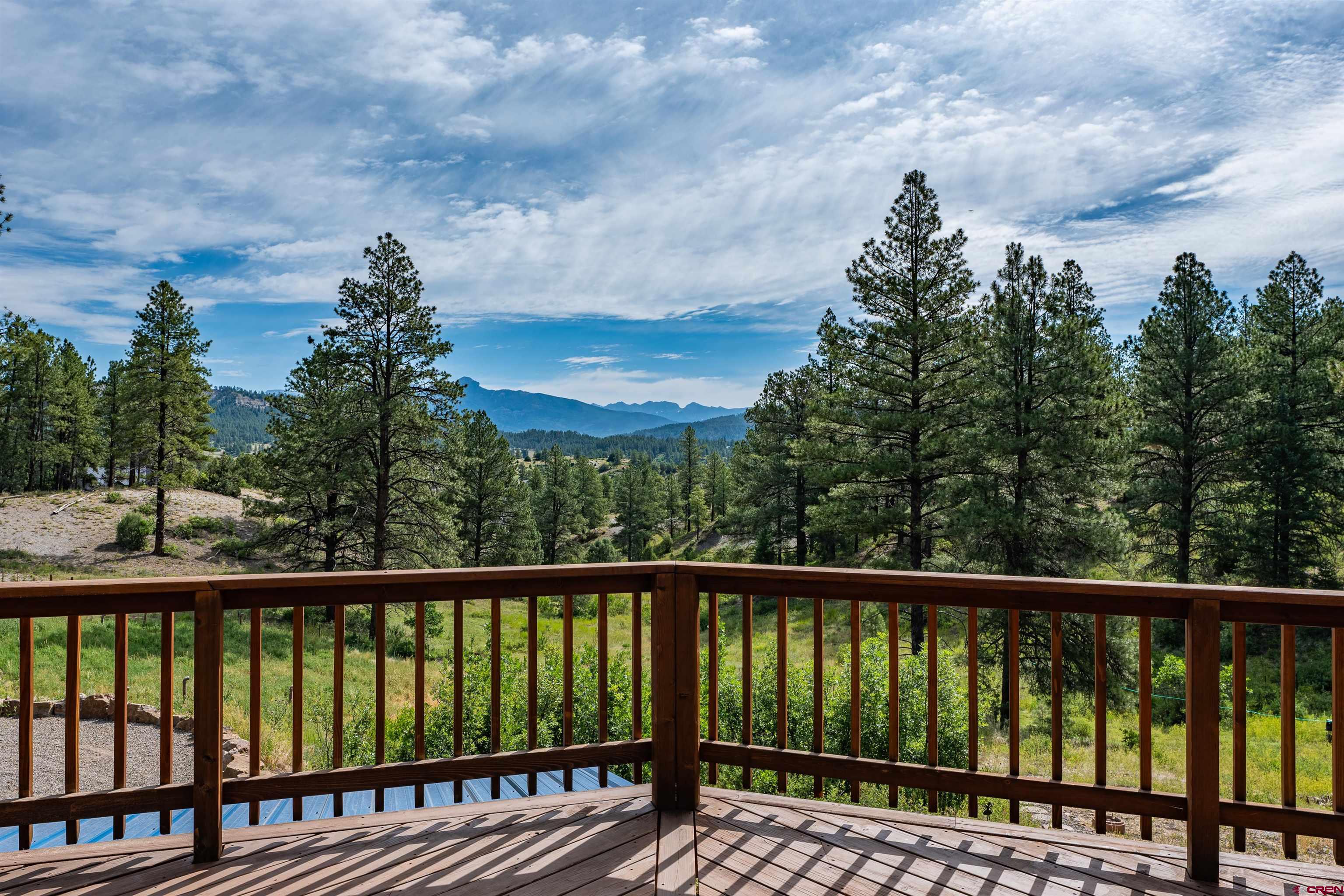 99 Tiffany Place, Pagosa Springs, CO 81147 Listing Photo  3