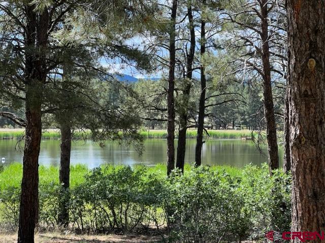 Photo of 1098 Lakeside Dr in Pagosa Springs, CO