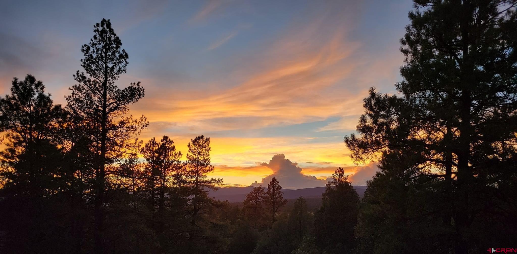 Photo of X County Rd 500 in Pagosa Springs, CO