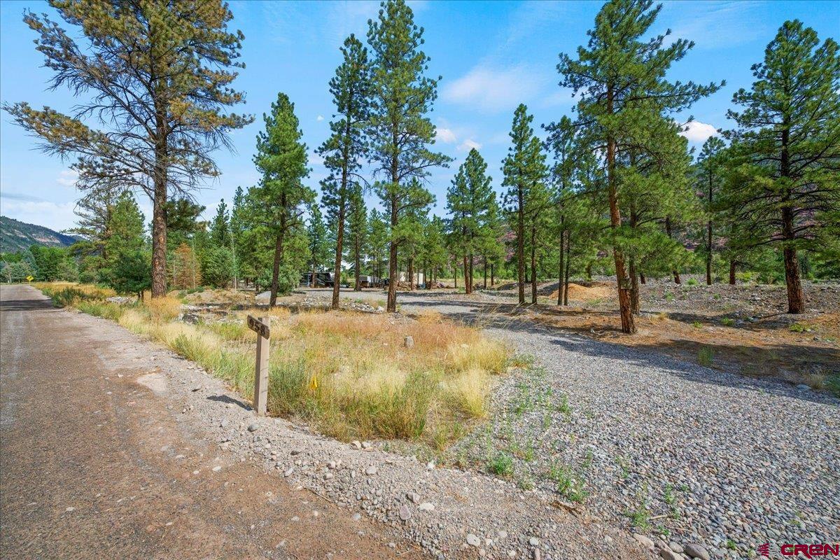 Prepare for your Colorado dream home build site with views of Abrams, Red Cliffs, and the Uncompahgre River. Situated between Ouray and Ridgway near Hwy 550 on County Road 23 offers ease of access to all the mountain adventures. This tranquil 3.65 acres has mature Ponderosa Pine Trees, and is surprising level and ready for construction. Electric, gas, and water, including septic are in place. No HOA or covenants!