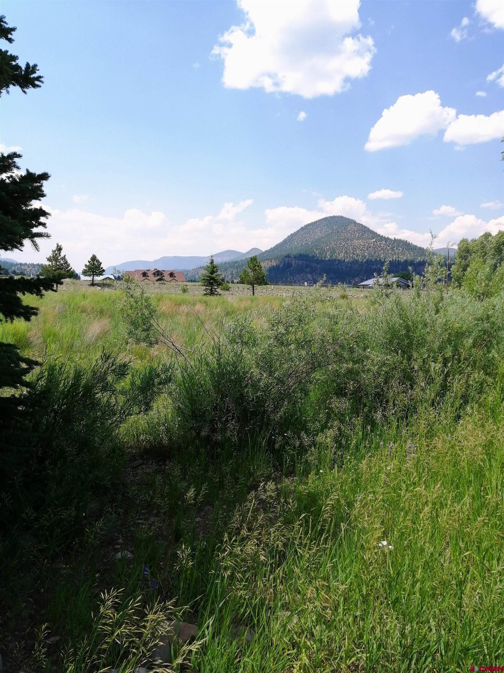 Photo of 93 Rivercrest Dr in South Fork, CO