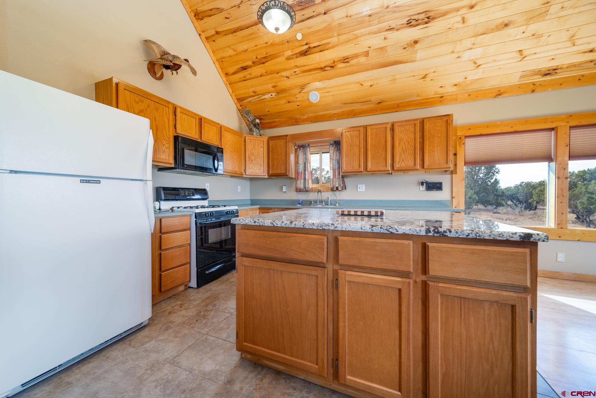 22790 & 22820 Government Springs Road, Montrose, CO 81403 Listing Photo  10