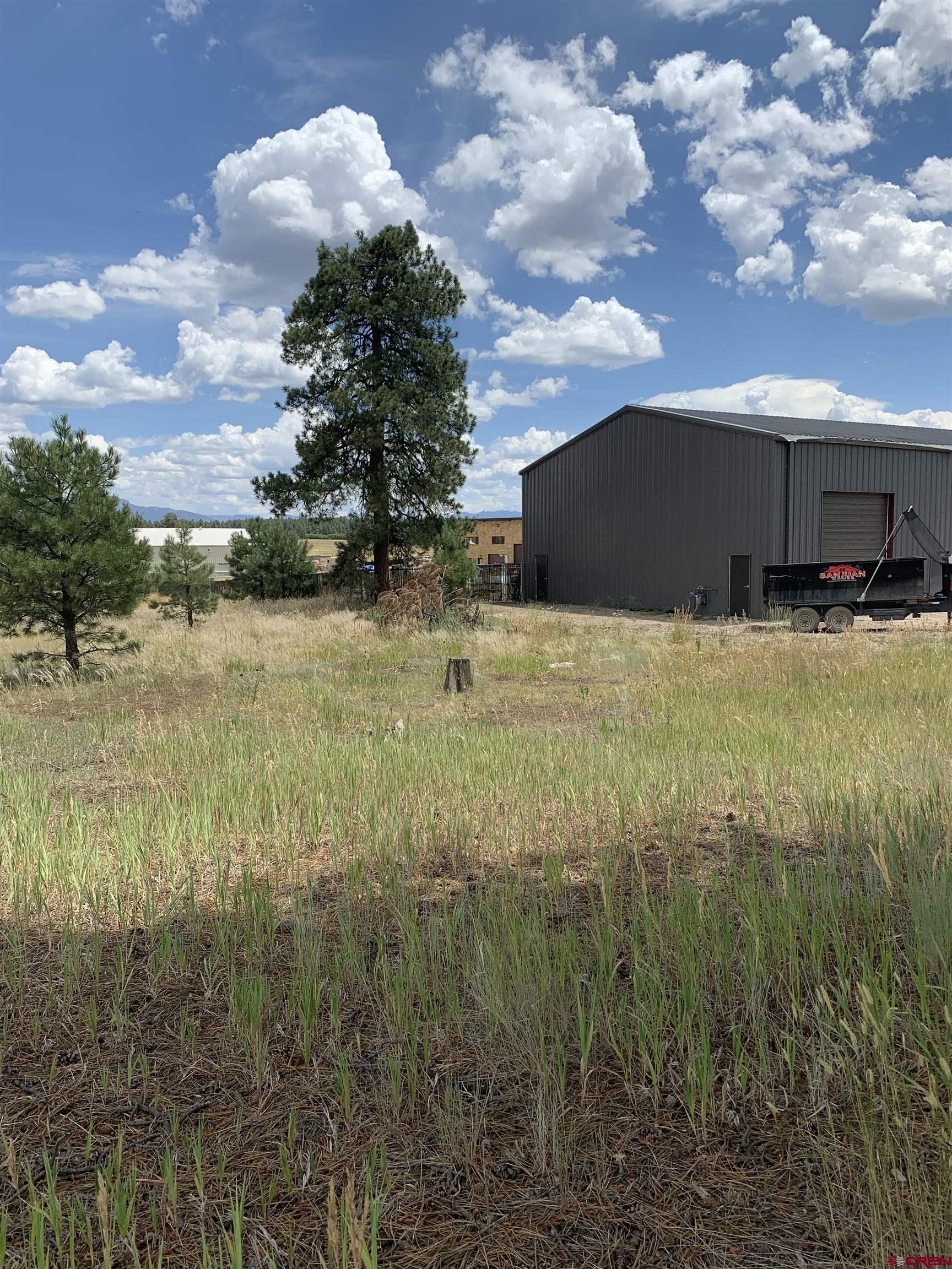 205 Industrial Circle, Pagosa Springs, CO 81147 Listing Photo  4