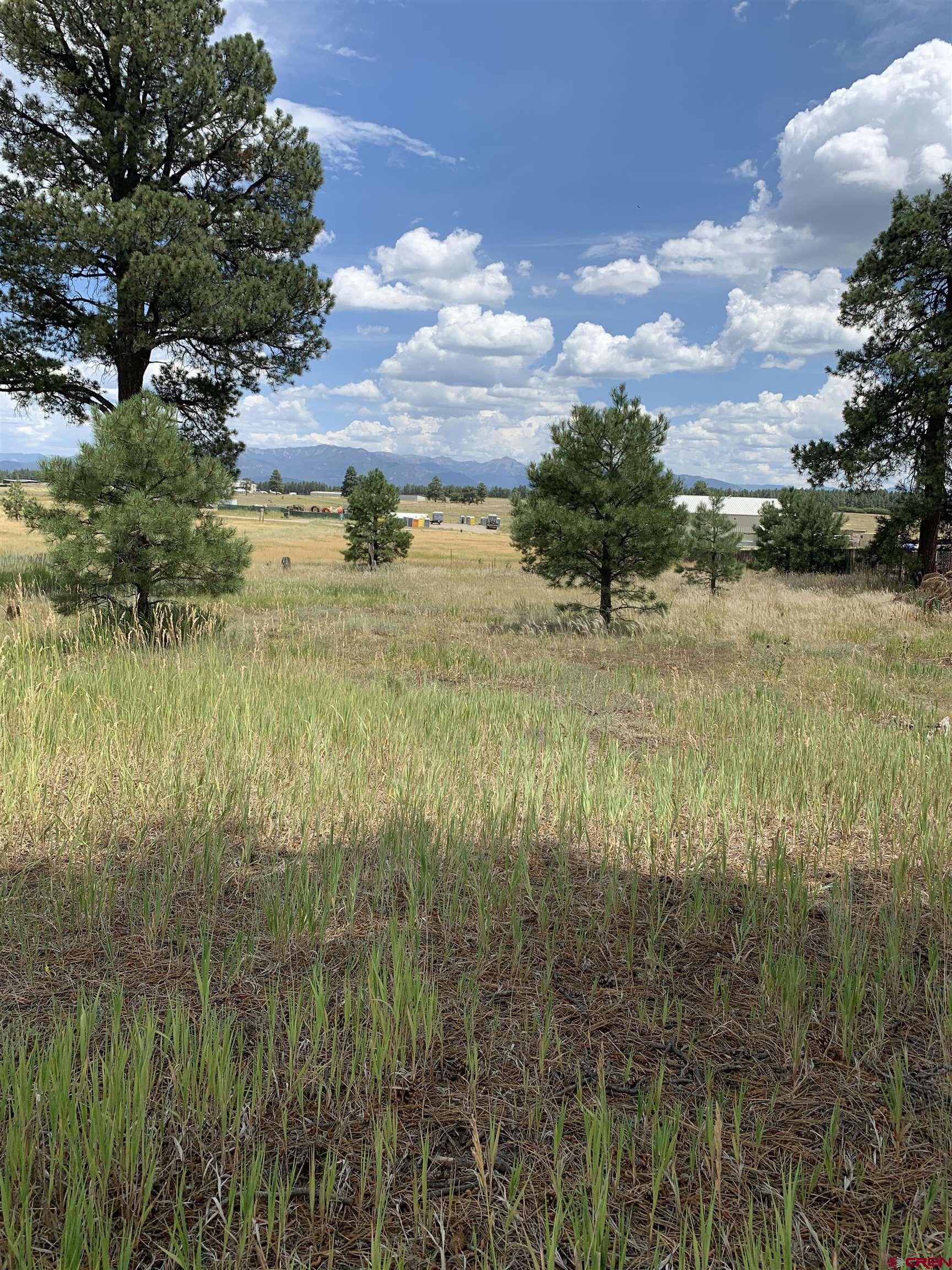 205 Industrial Circle, Pagosa Springs, CO 81147 Listing Photo  5