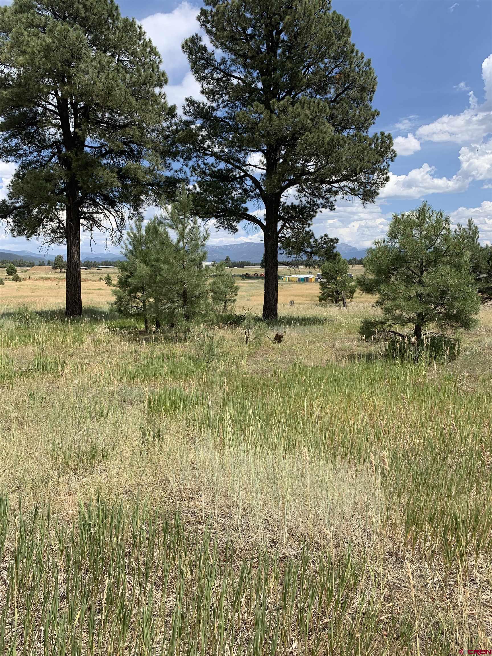 205 Industrial Circle, Pagosa Springs, CO 81147 Listing Photo  6