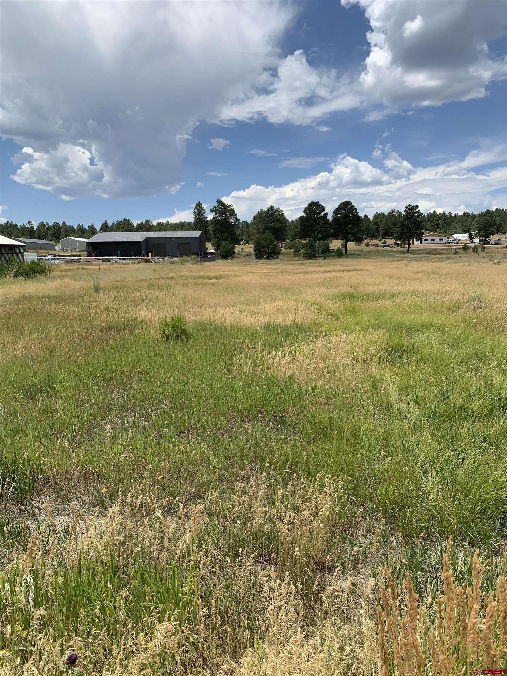 739 Industrial Circle, Pagosa Springs, CO 81147 Listing Photo  2