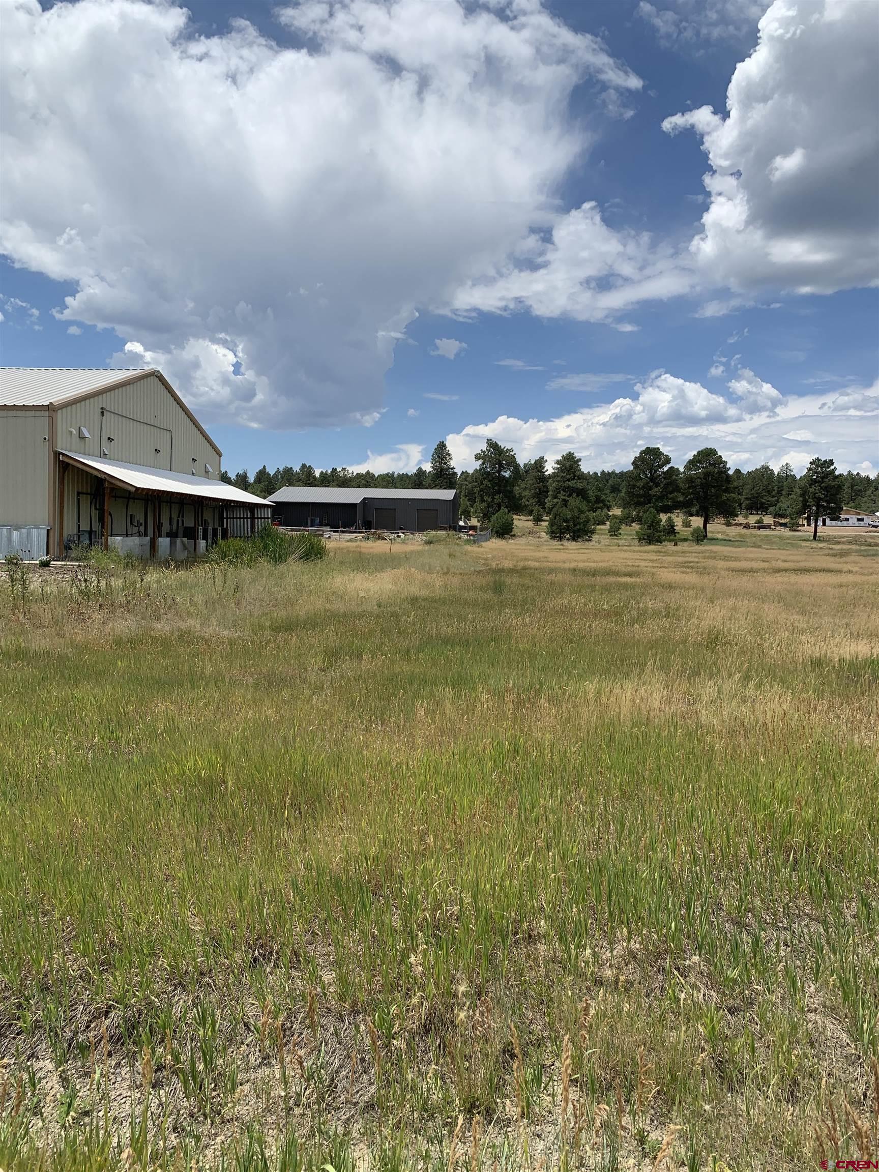 739 Industrial Circle, Pagosa Springs, CO 81147 Listing Photo  3