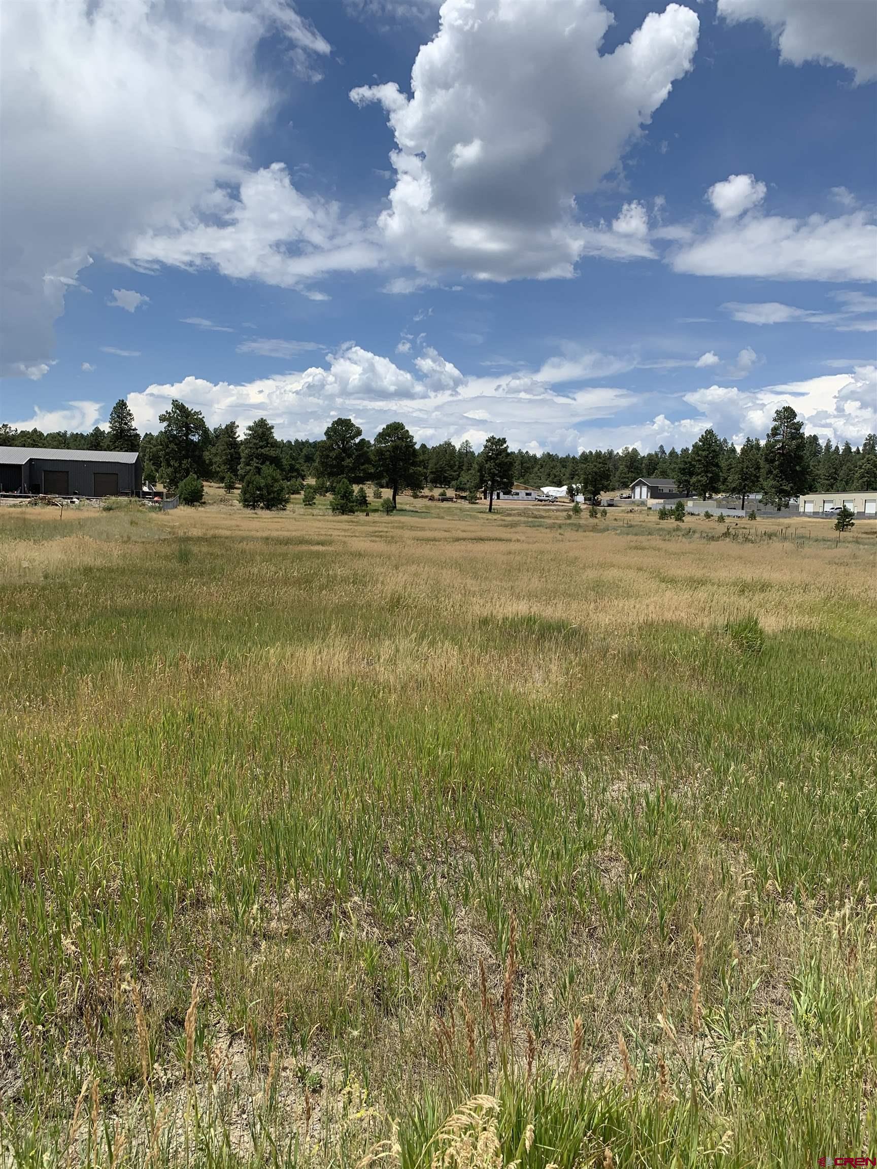 739 Industrial Circle, Pagosa Springs, CO 81147 Listing Photo  4