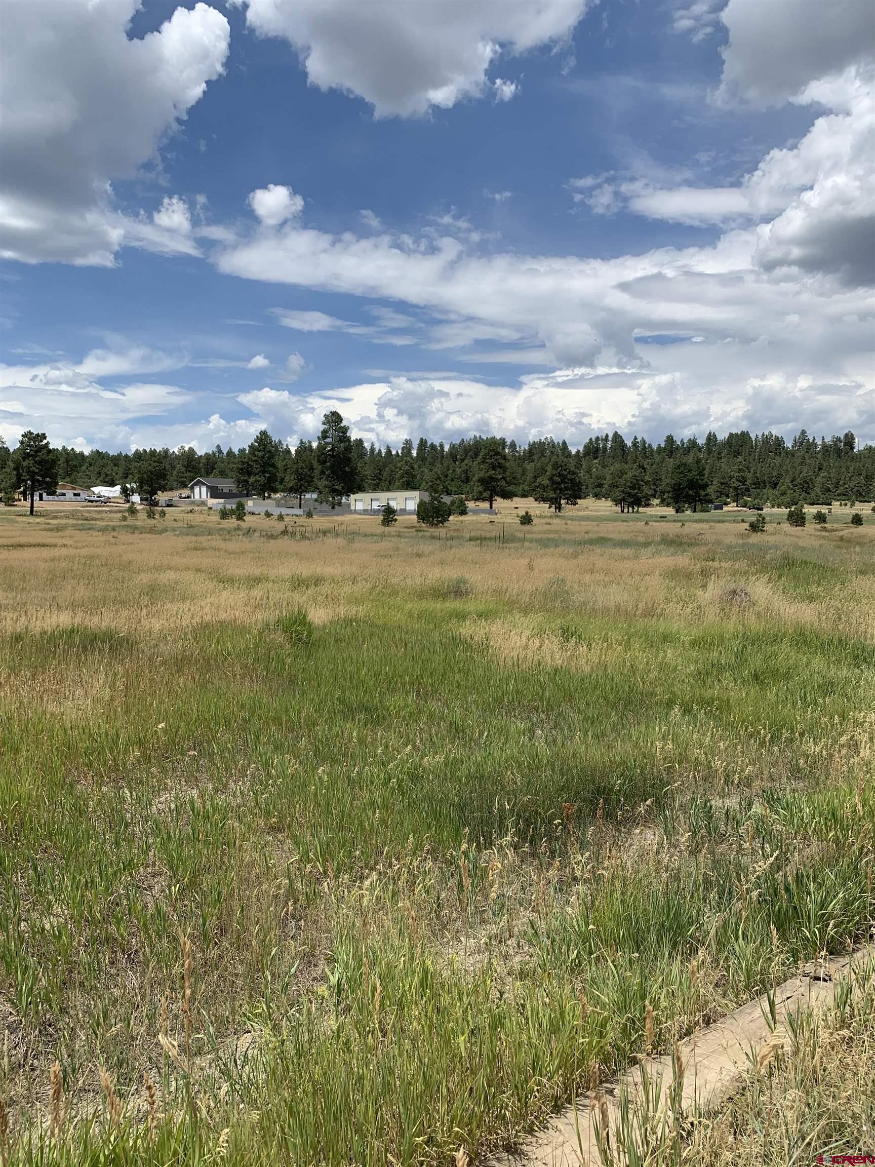 739 Industrial Circle, Pagosa Springs, CO 81147 Listing Photo  5
