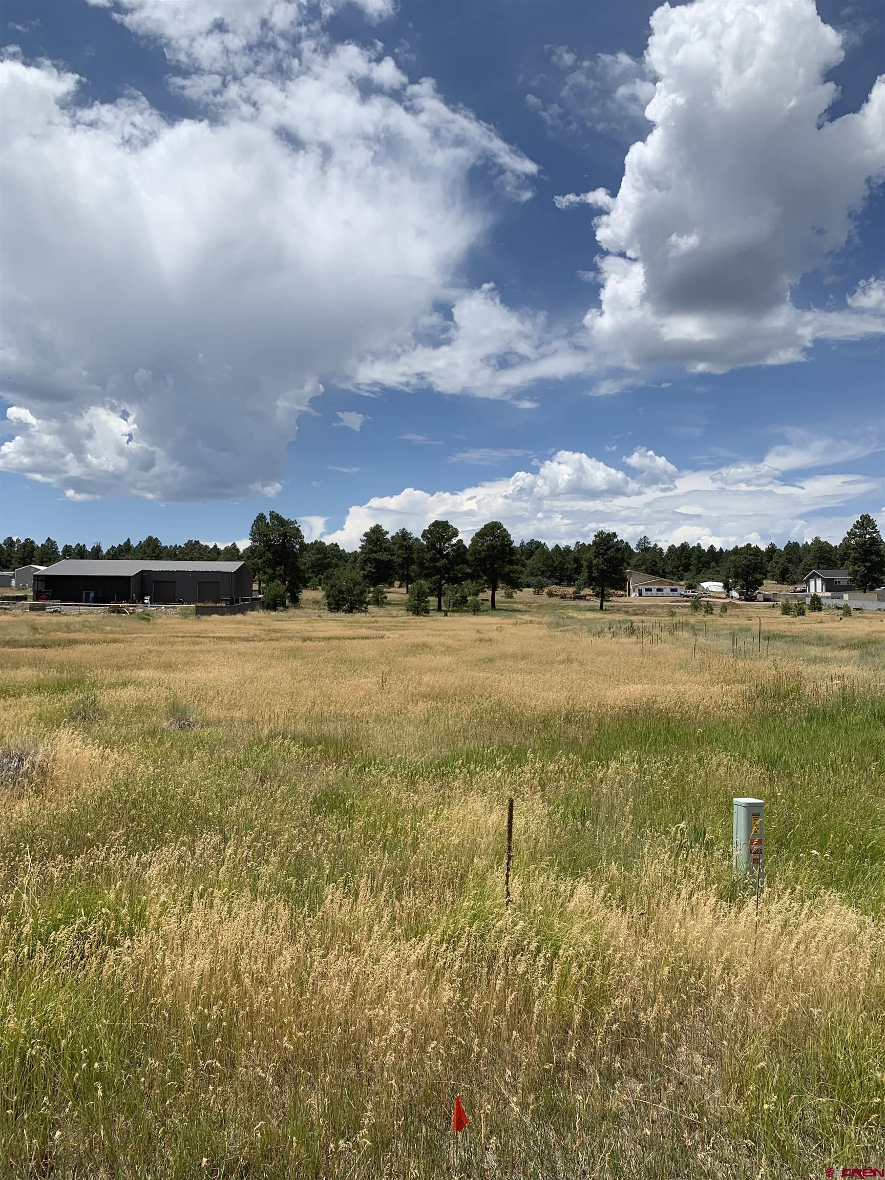 739 Industrial Circle, Pagosa Springs, CO 81147 Listing Photo  6